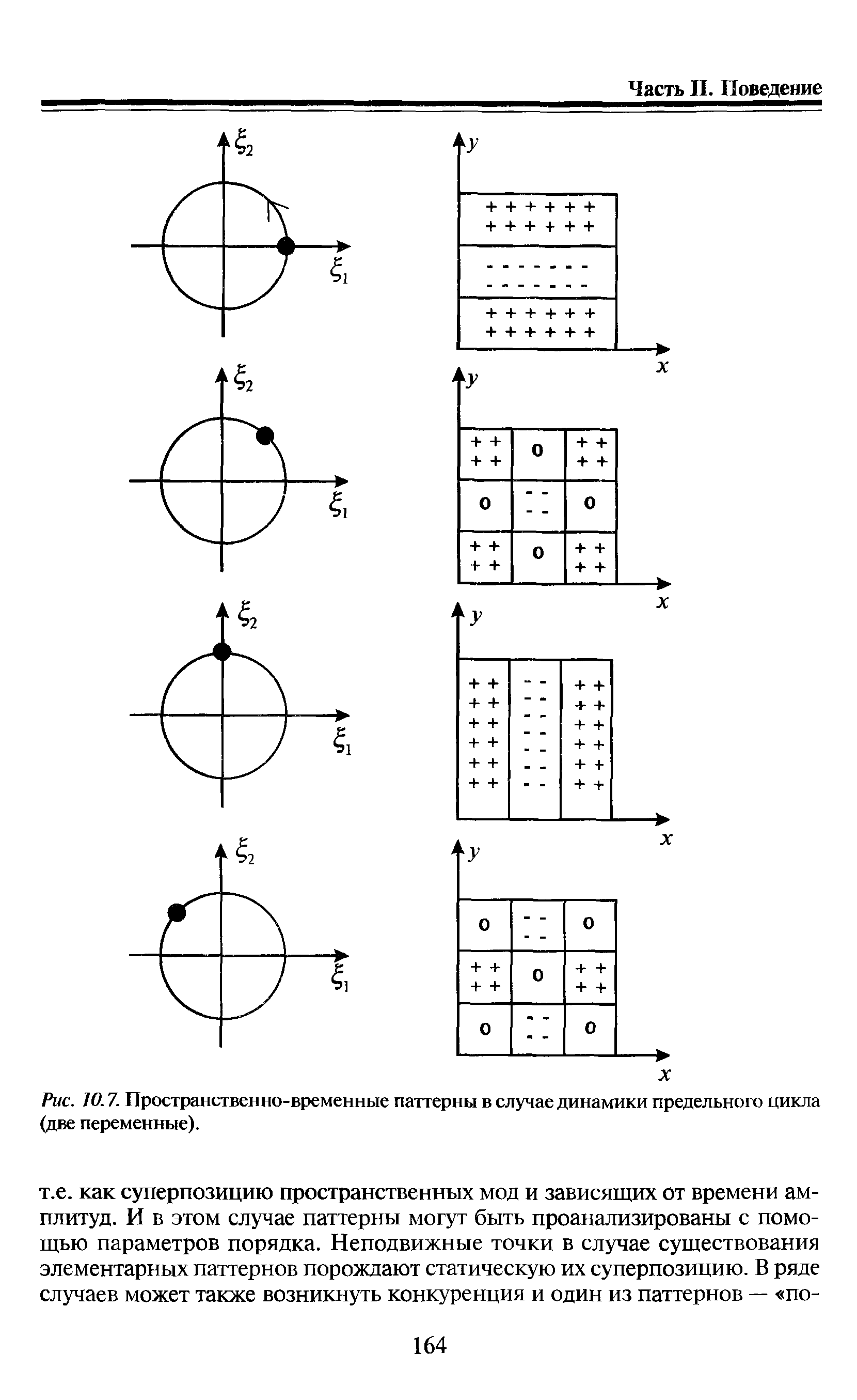 Рис. 10.7. Пространственно-временные паттерны в случае динамики предельного цикла (две переменные).