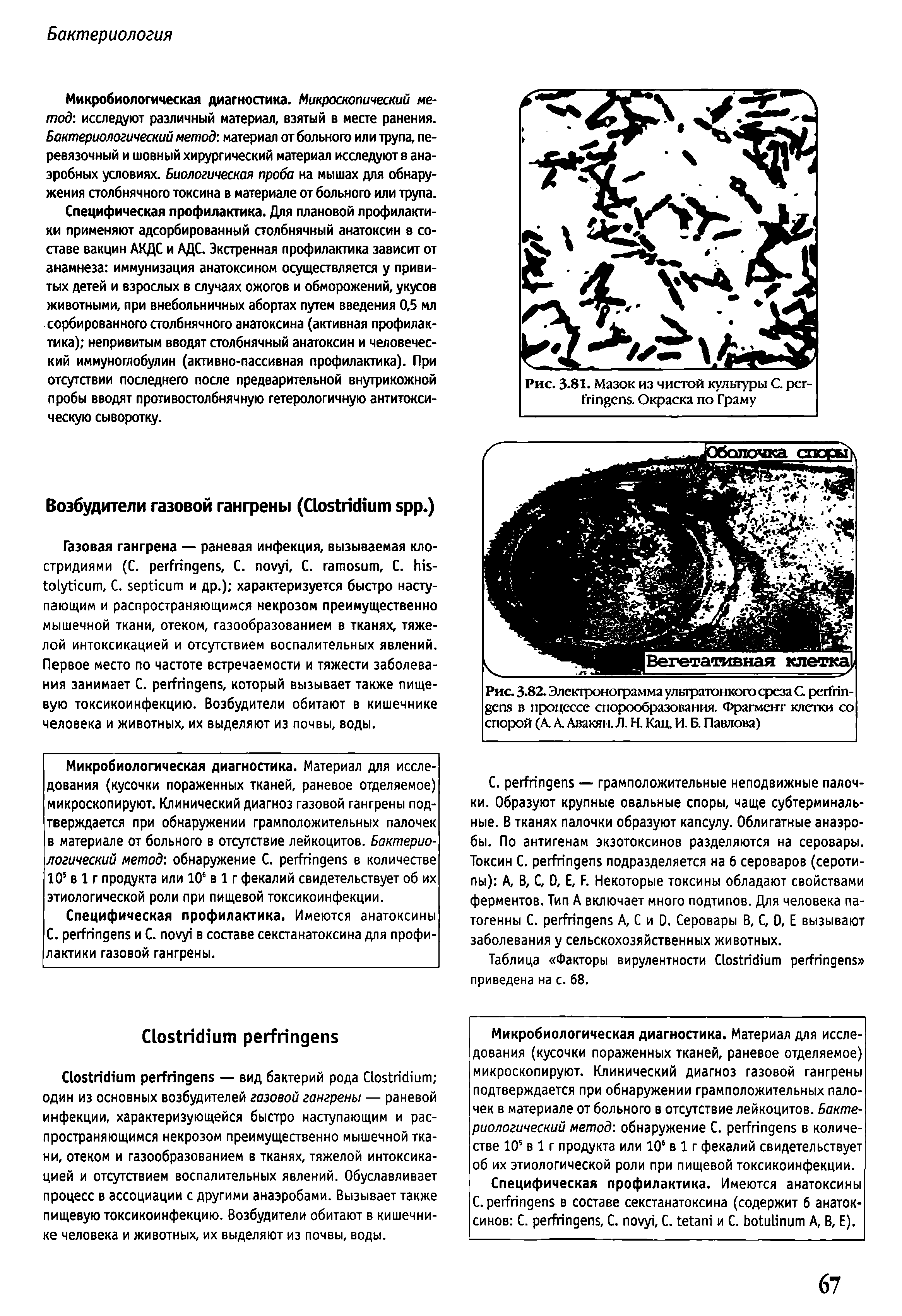 Таблица Факторы вирулентности C приведена на с. 68.