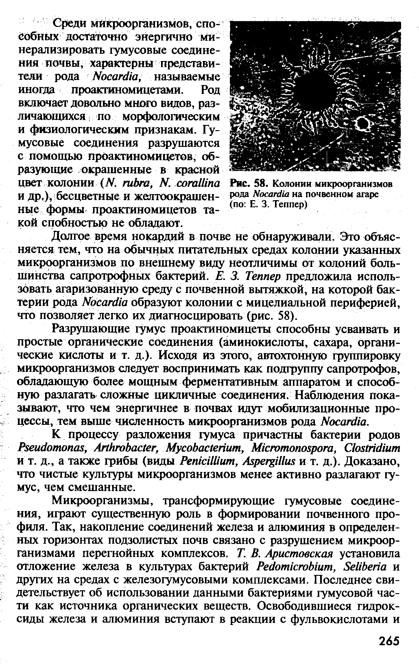 Рис. 58. Колонии микроорганизмов рода ЫосапИа на почвенном агаре (по Е. 3. Теппер)...