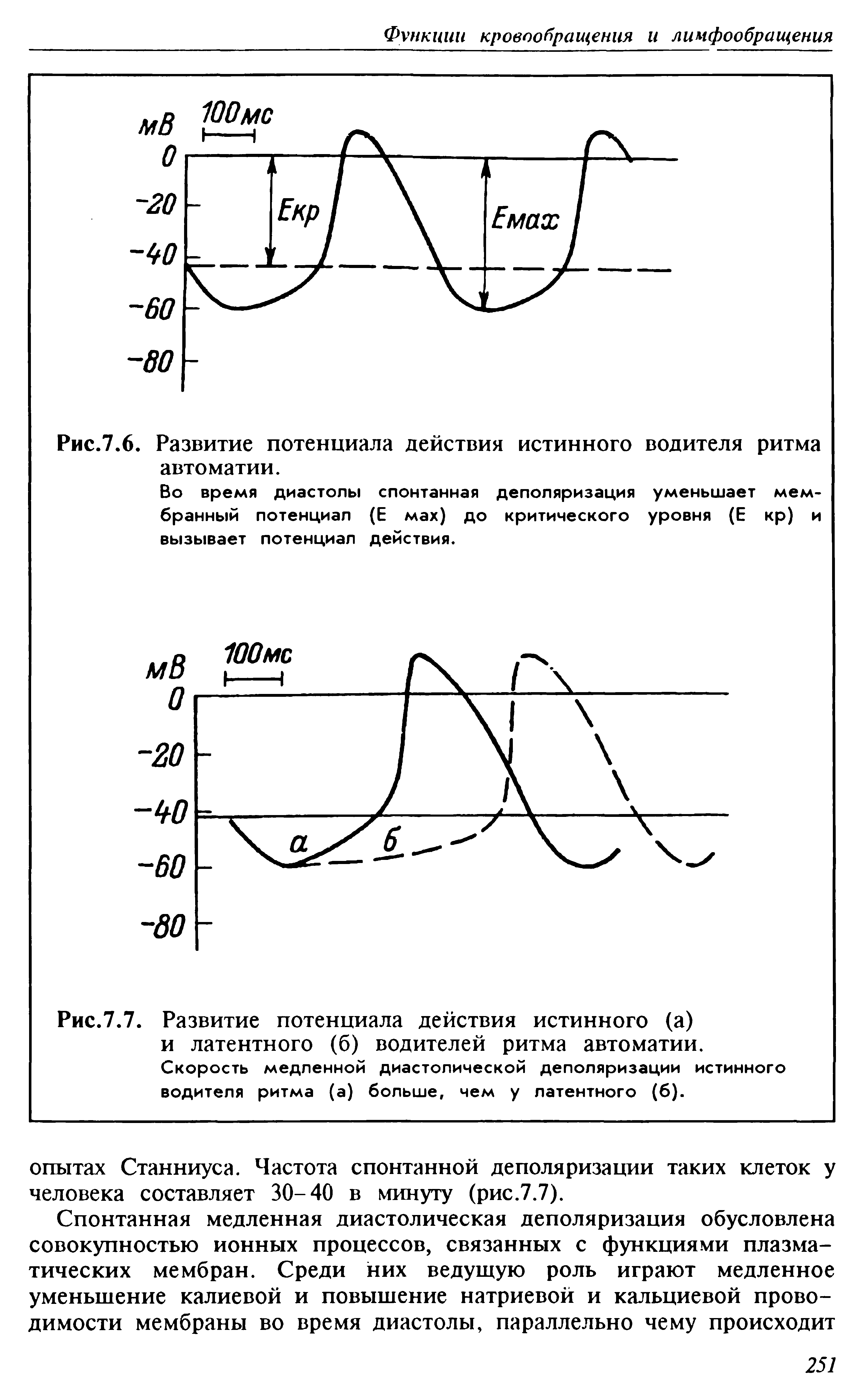 Рис.7.7. Развитие потенциала действия истинного (а) и латентного (б) водителей ритма автоматии. Скорость медленной диастолической деполяризации истинного водителя ритма (а) больше, чем у латентного (6).