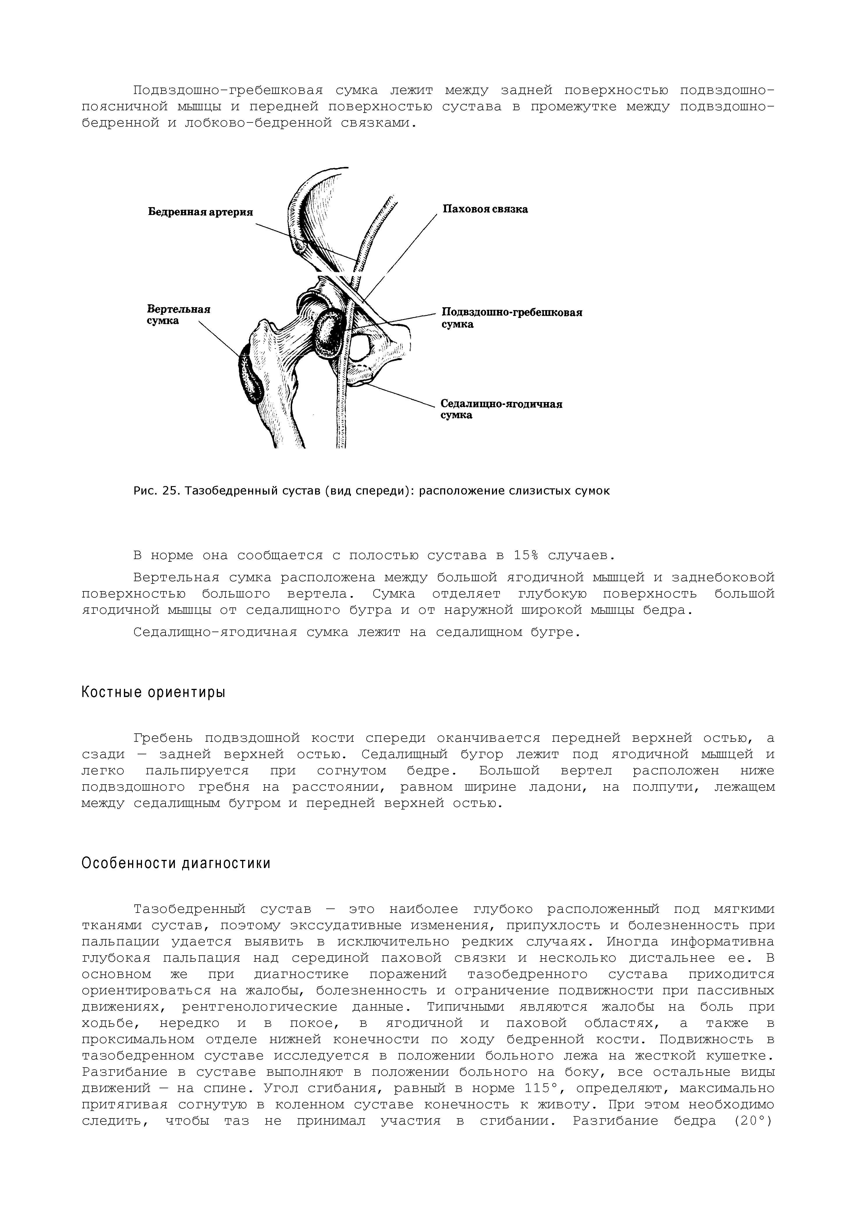 Рис. 25. Тазобедренный сустав (вид спереди) расположение слизистых сумок...