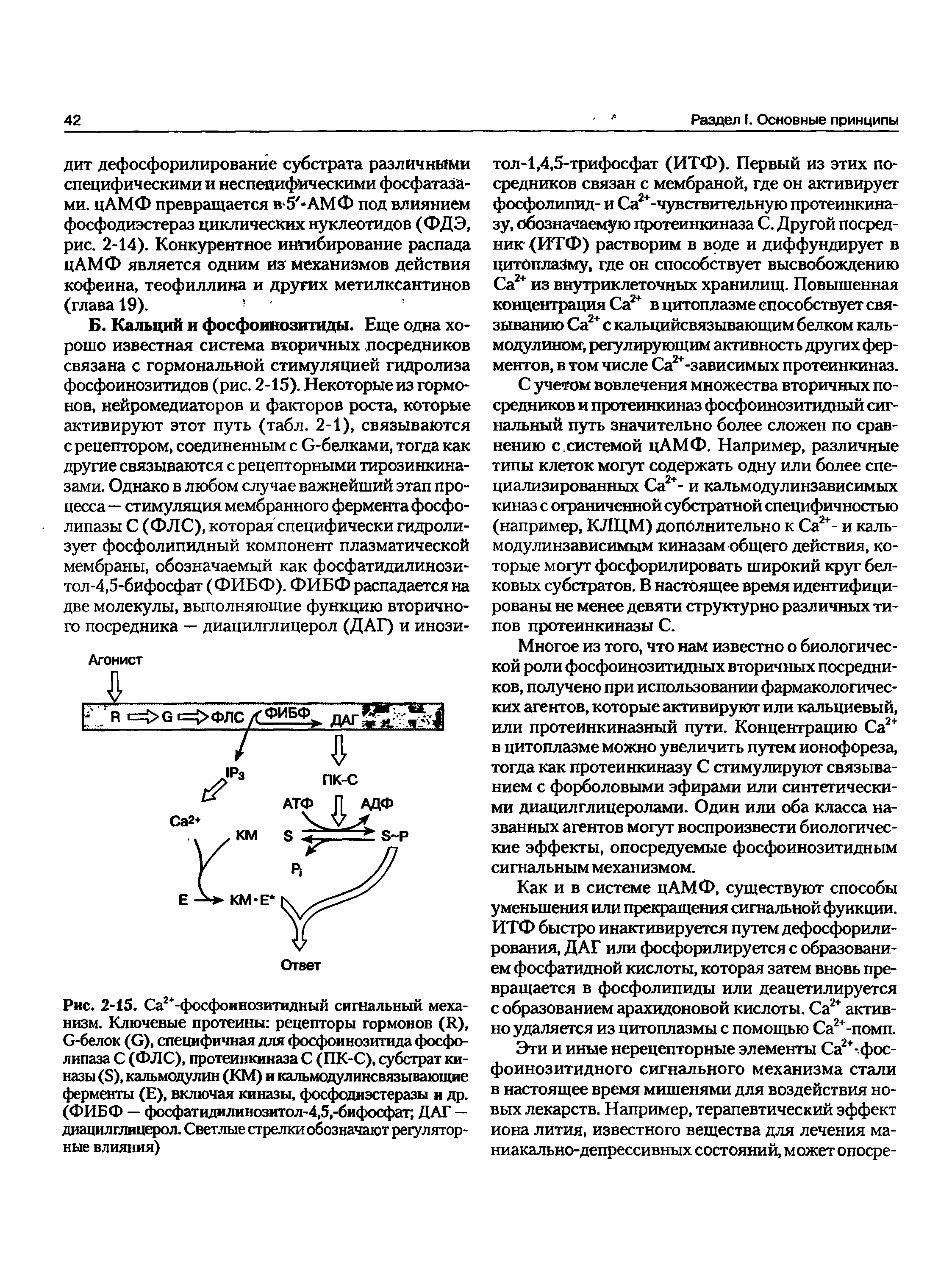 Рис. 2-15. Са2>-фосфоинозитидный сигнальный механизм. Ключевые протеины рецепторы гормонов (И), С-белок (С), специфичная для фосфоинозитида фосфолипаза С (ФЛС), протеинкиназа С (ПК-С), субстрат киназы (Б), кальмодулин (КМ) и кальмодулинсвязывающие ферменты (Е), включая киназы, фосфодиэстеразы и др. (ФИБФ — фосфатидилинозитол-4,5,-бифосфат, ДАГ — диацилглицерол. Светлые стрелки обозначают регуляторные влияния)...