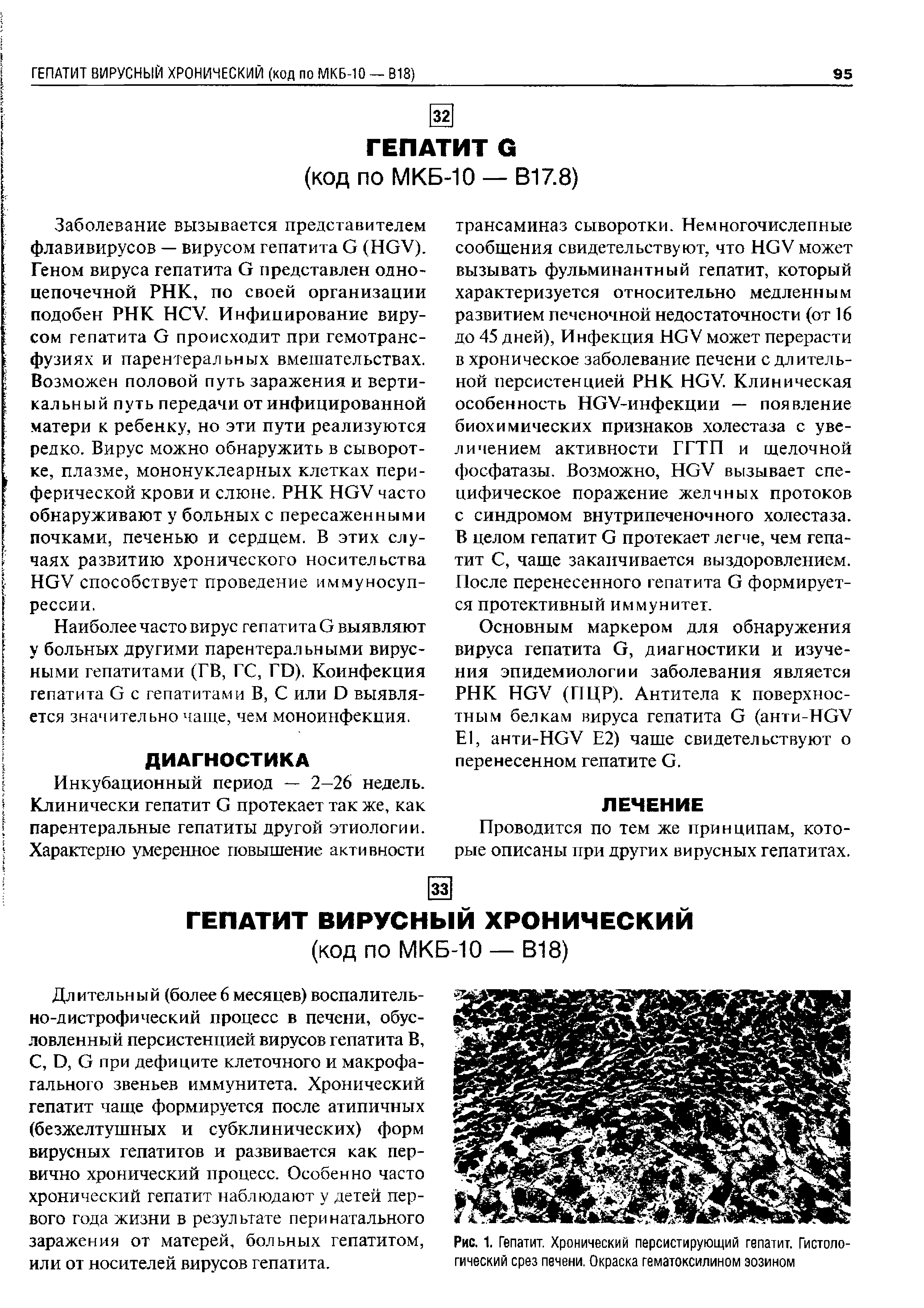 Рис. 1 Гепатит. Хронический персистирующий гепатит. Гистологический срез печени. Окраска гематоксилином эозином...