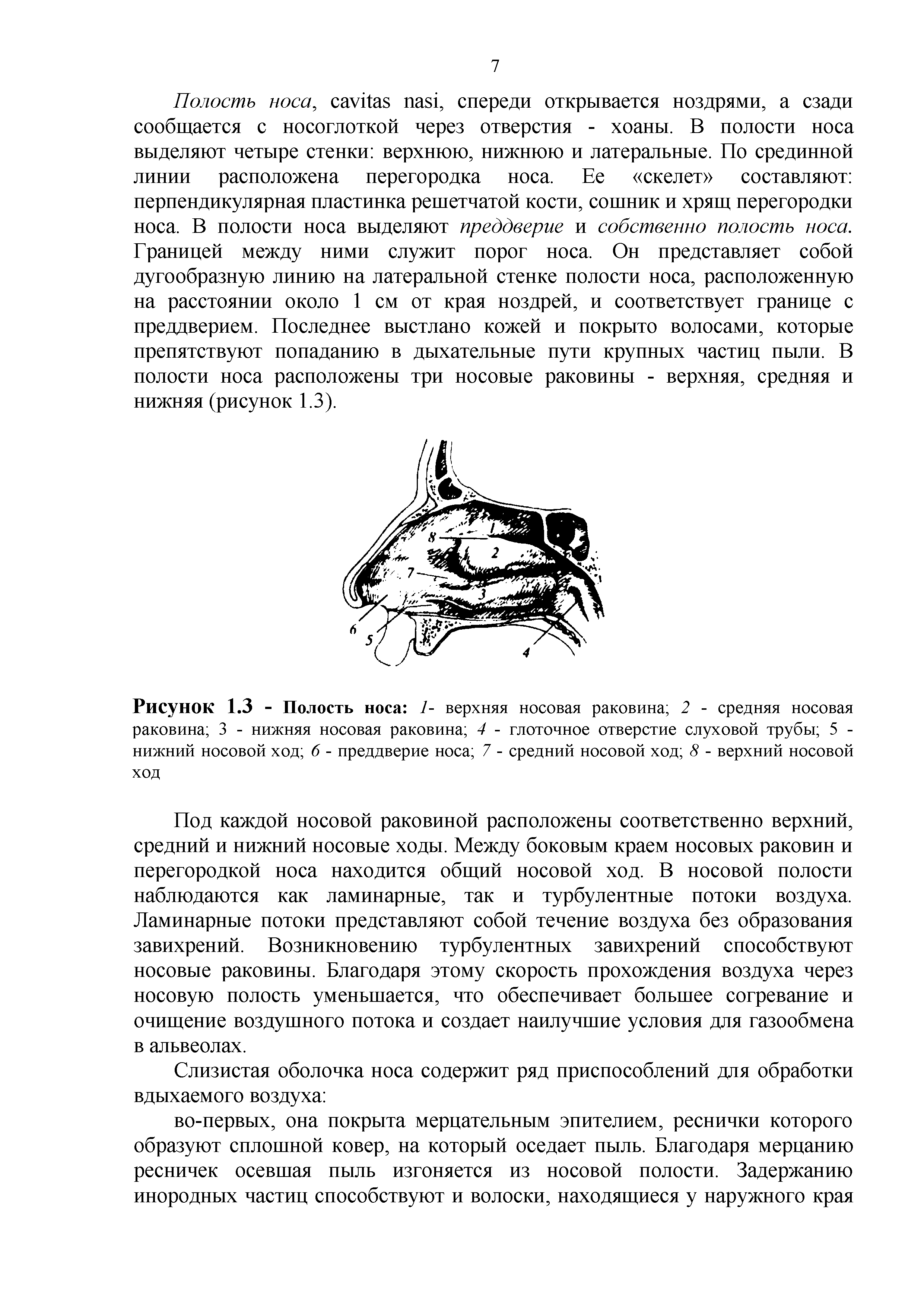 Рисунок 1.3 - Полость носа 1- верхняя носовая раковина 2 - средняя носовая раковина 3 - нижняя носовая раковина 4 - глоточное отверстие слуховой трубы 5 -нижний носовой ход 6 - преддверие носа 7 - средний носовой ход 8 - верхний носовой ход...