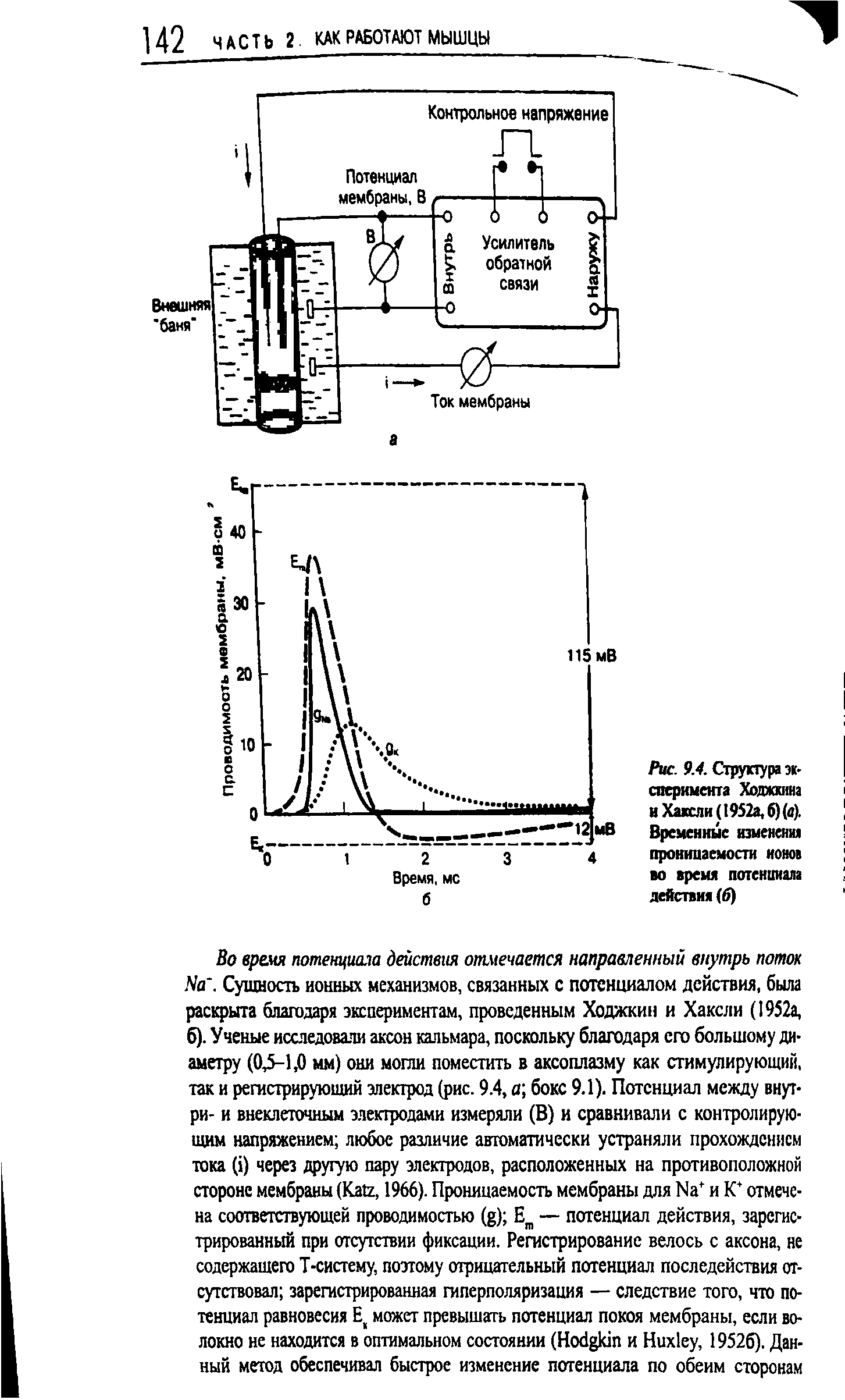 Рис. 9.4. Структура эксперимента Ходжкина иХаксли(1952а,б)(а). Временные изменения проницаемости ионов...