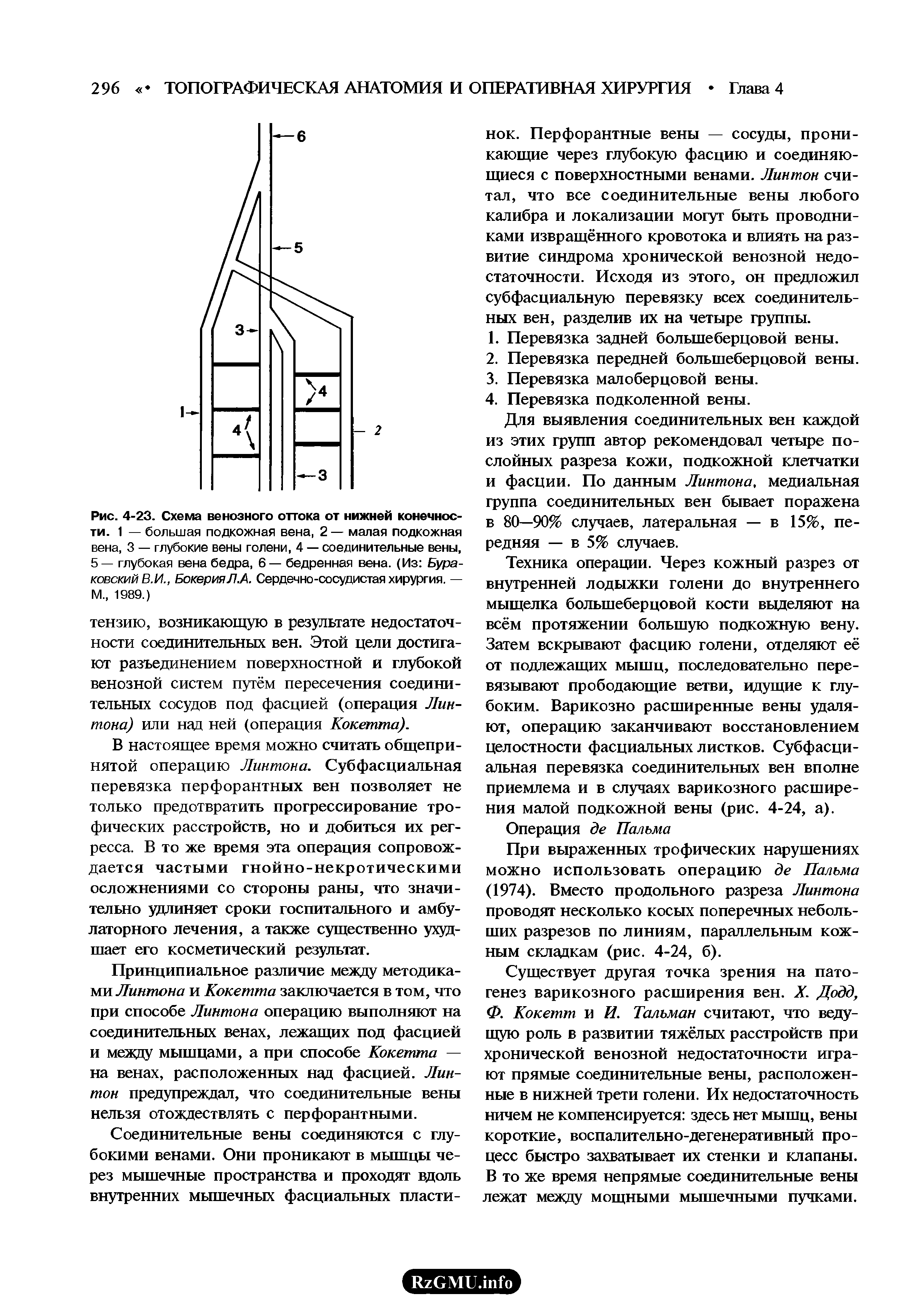 Рис. 4-23. Схема венозного оттока от нижней конечности. 1 — большая подкожная вена, 2 — малая подкожная вена, 3 — глубокие вены голени, 4 — соединительные вены, 5— глубокая вена бедра, 6— бедренная вена. (Из Бураковский В.И., БокерияЛ.А. Сердечно-сосудистая хирургия. — М., 1989.)...