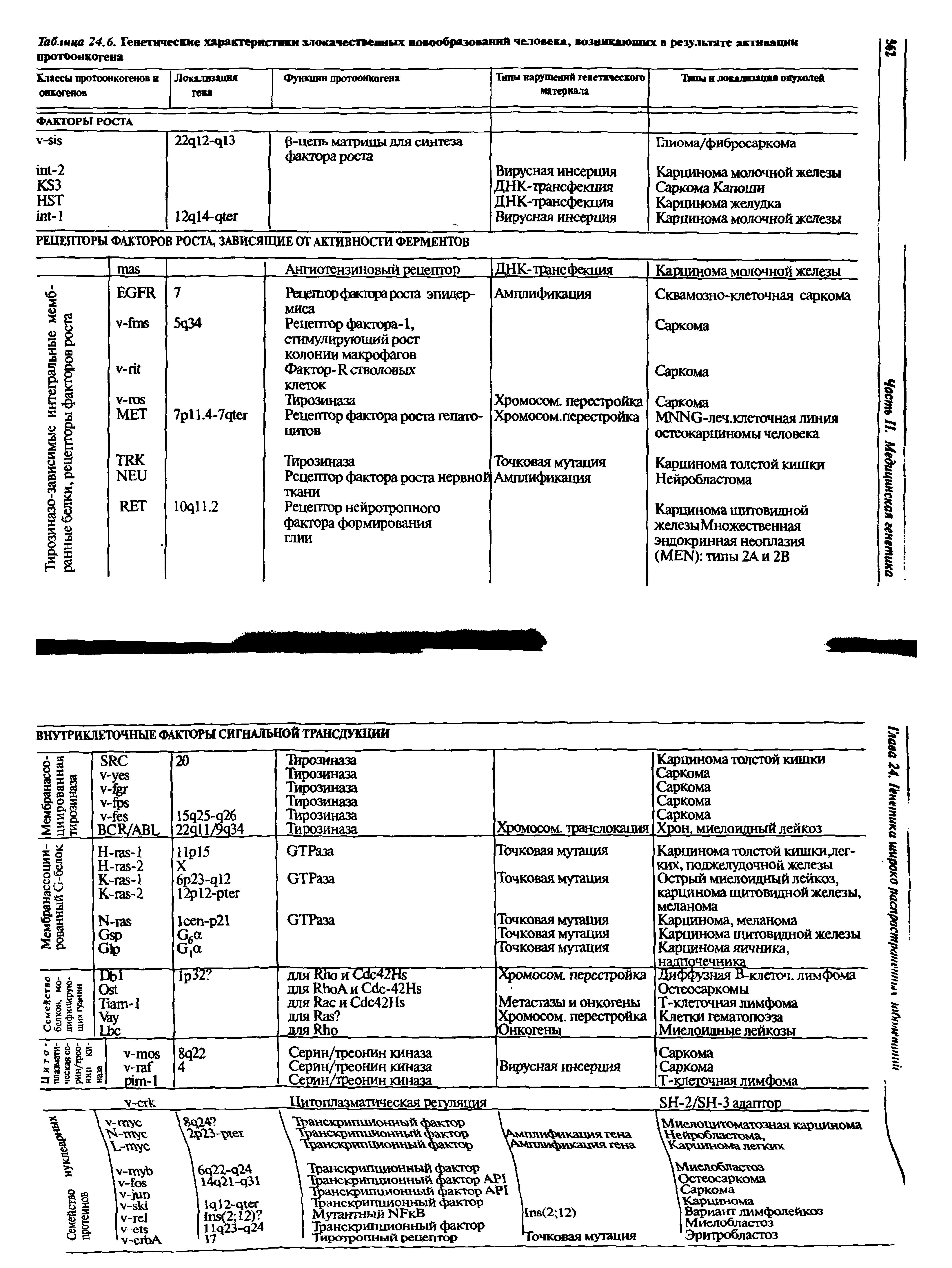 Таблица 24.6. Генетические характеристики злокачественных новообразований человека, возникающих в результате акшвапии протоонкогена...