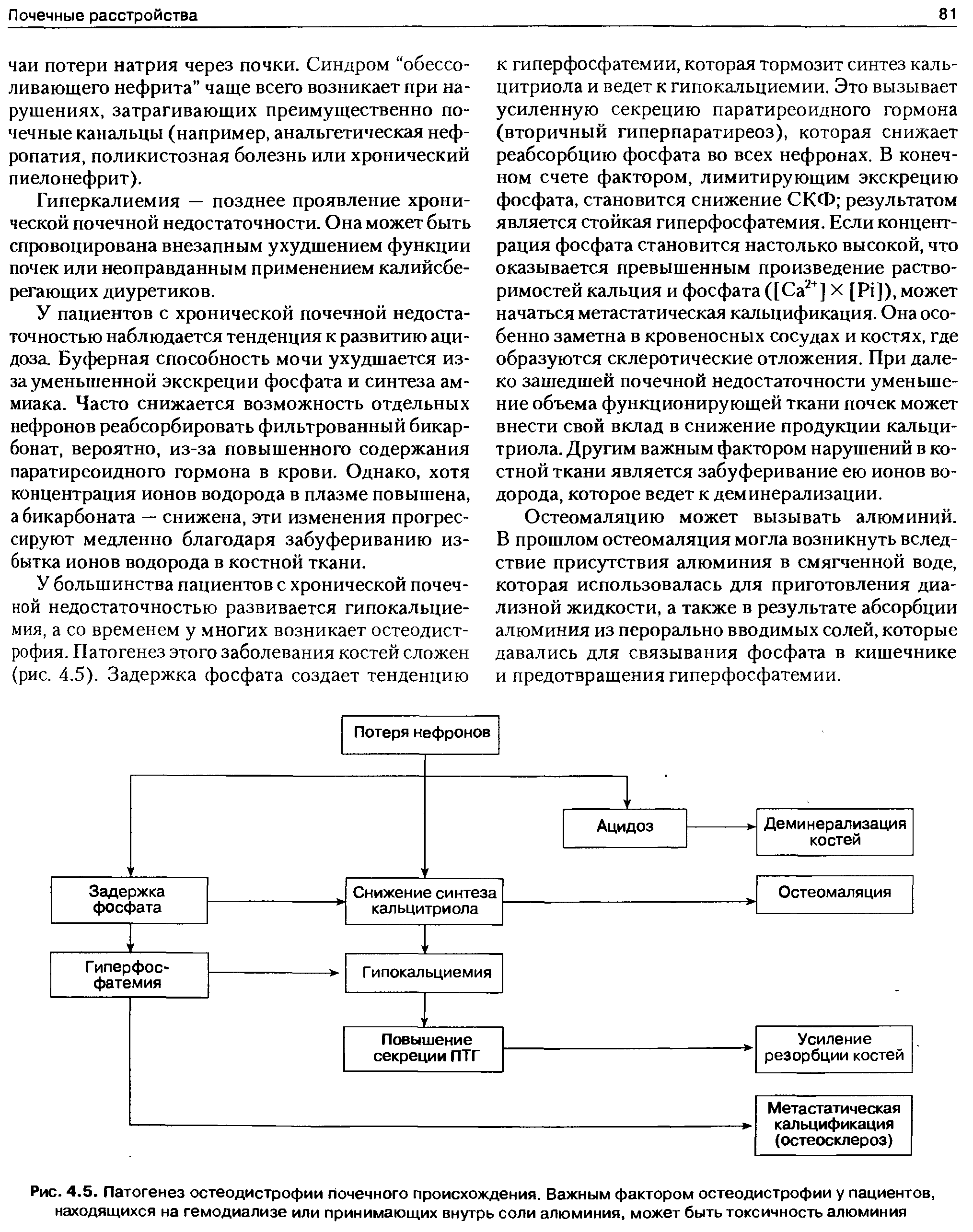 Рис. 4.5. Патогенез остеодистрофии почечного происхождения. Важным фактором остеодистрофии у пациентов, находящихся на гемодиализе или принимающих внутрь соли алюминия, может быть токсичность алюминия...