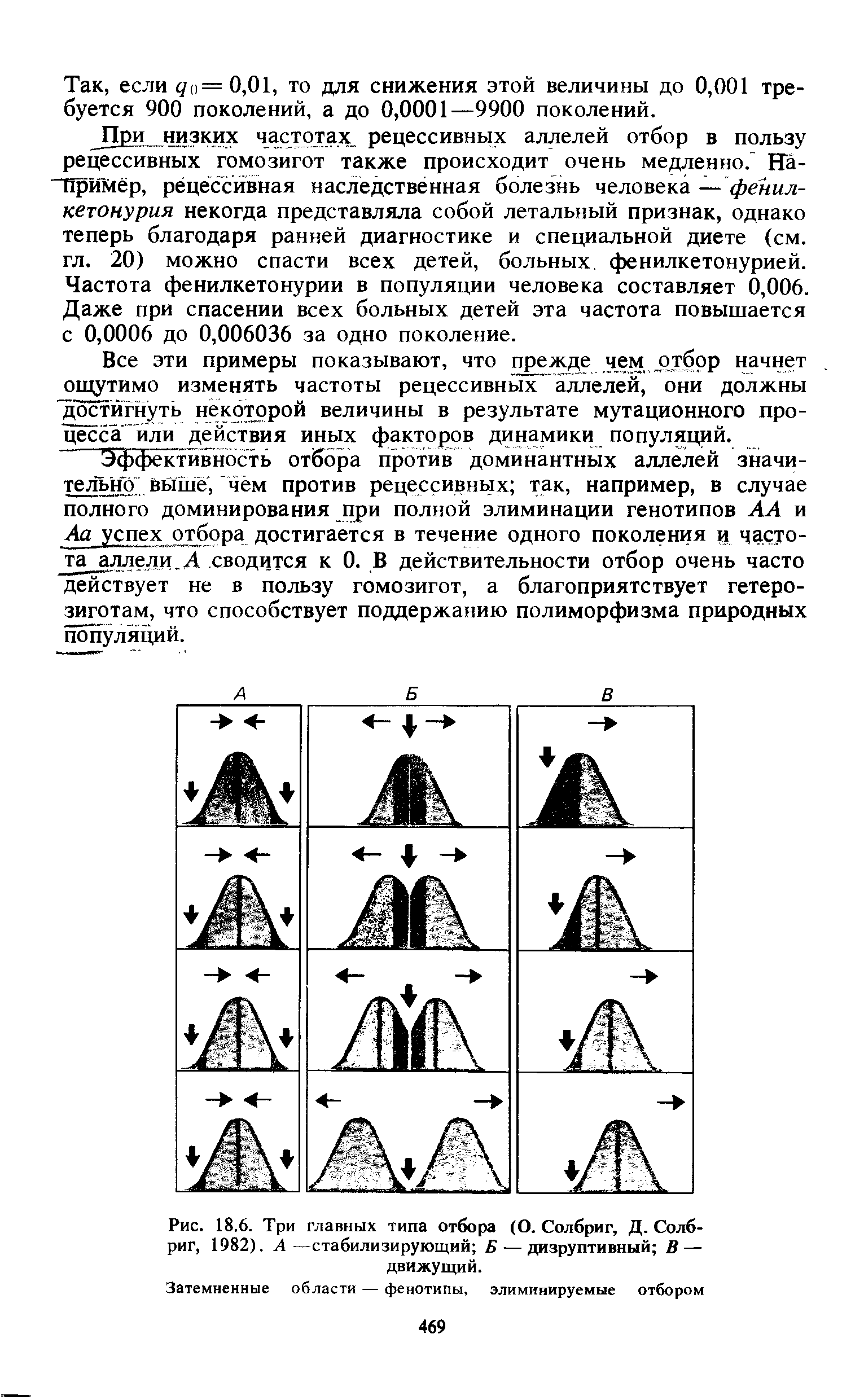 Рис. 18.6. Три главных типа отбора (О. Солбриг, Д. Солб-риг, 1982). А—стабилизирующий Б — дизруптивный В — движущий.