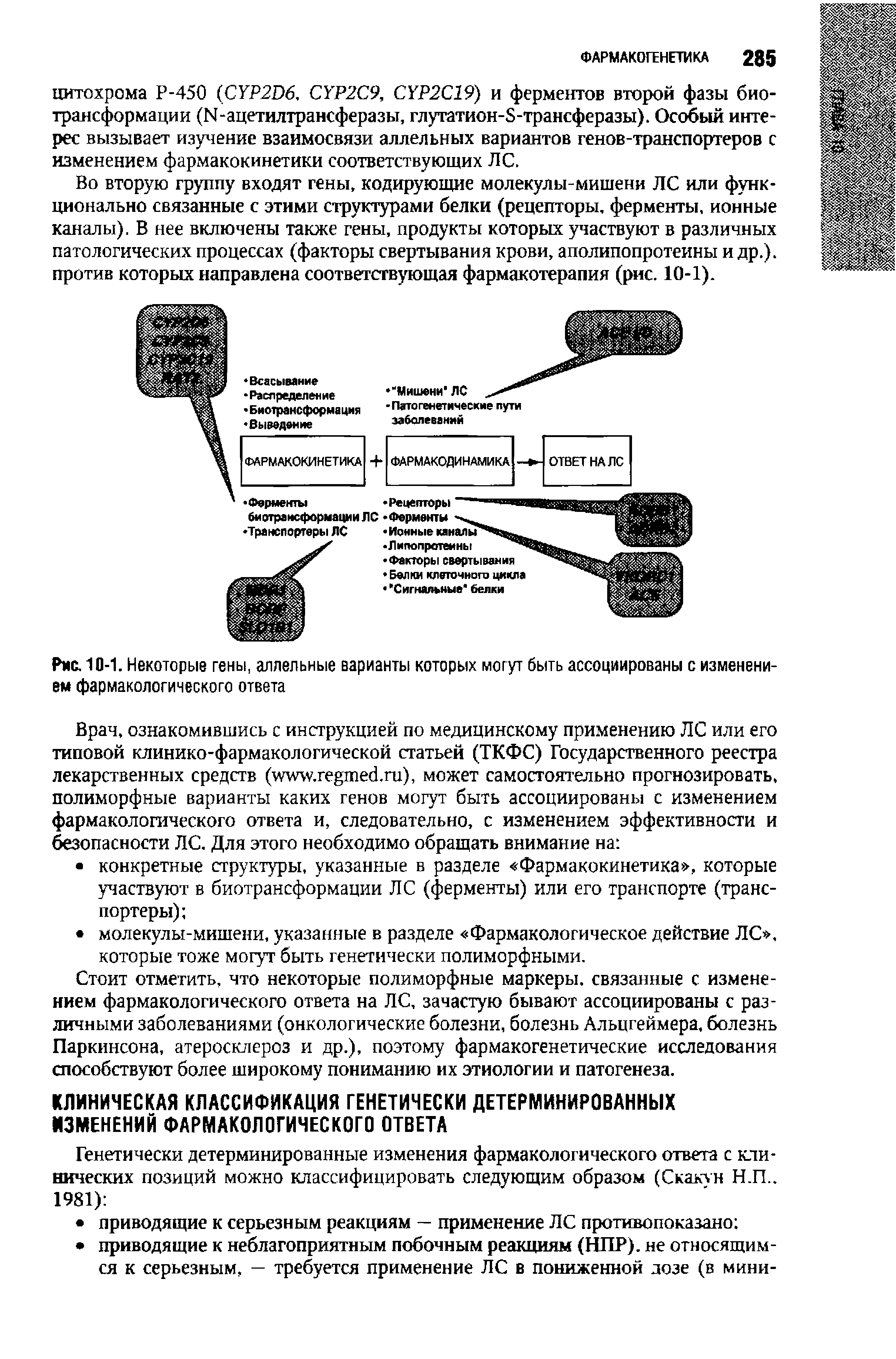 Рис. 10-1. Некоторые гены, аллельные варианты которых могут быть ассоциированы с изменением фармакологического ответа...