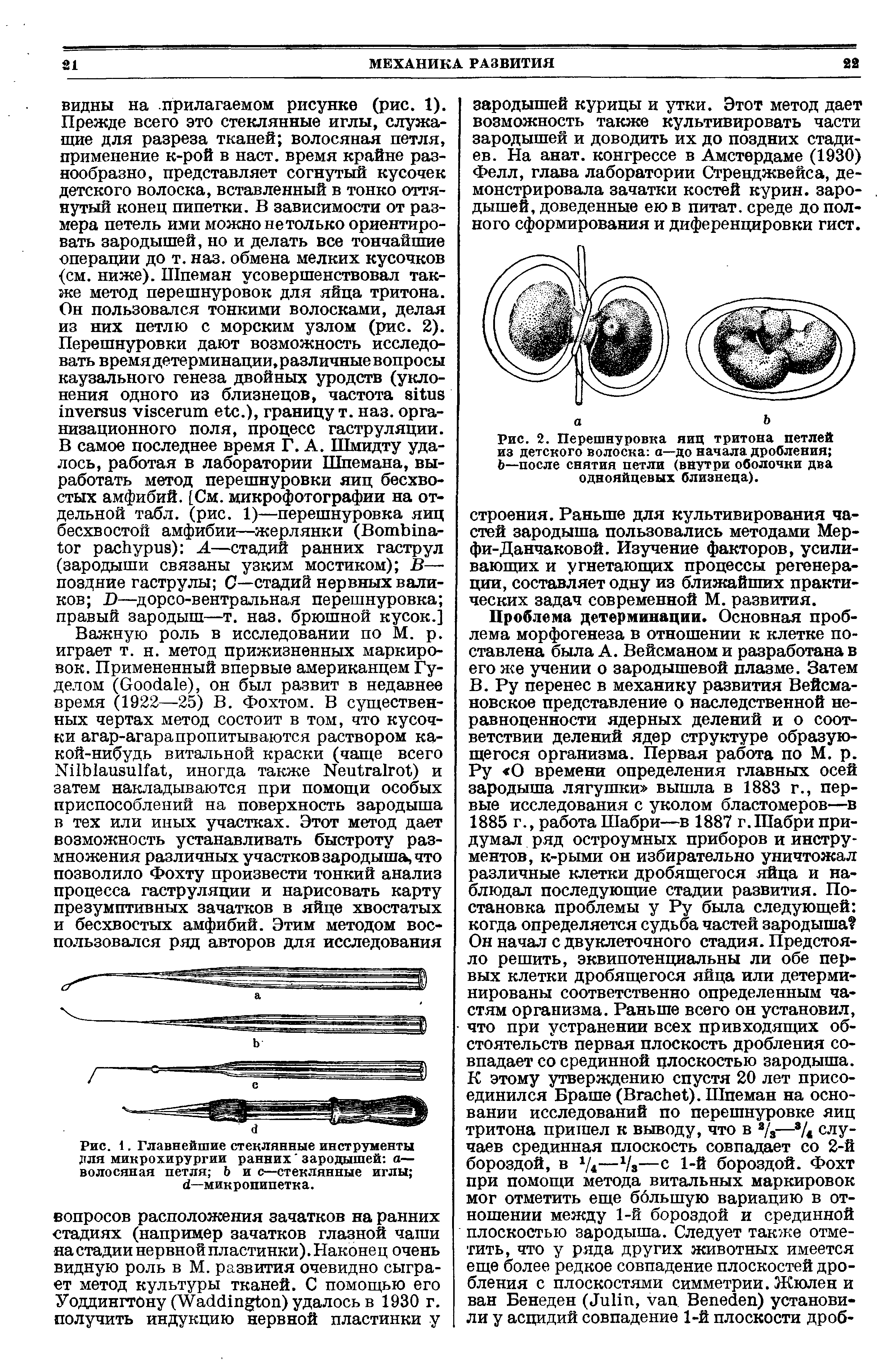 Рис. 1. Главнейшие стеклянные инструменты для микрохирургии ранних зародышей а— волосяная петля Ь и с—стеклянные иглы ...