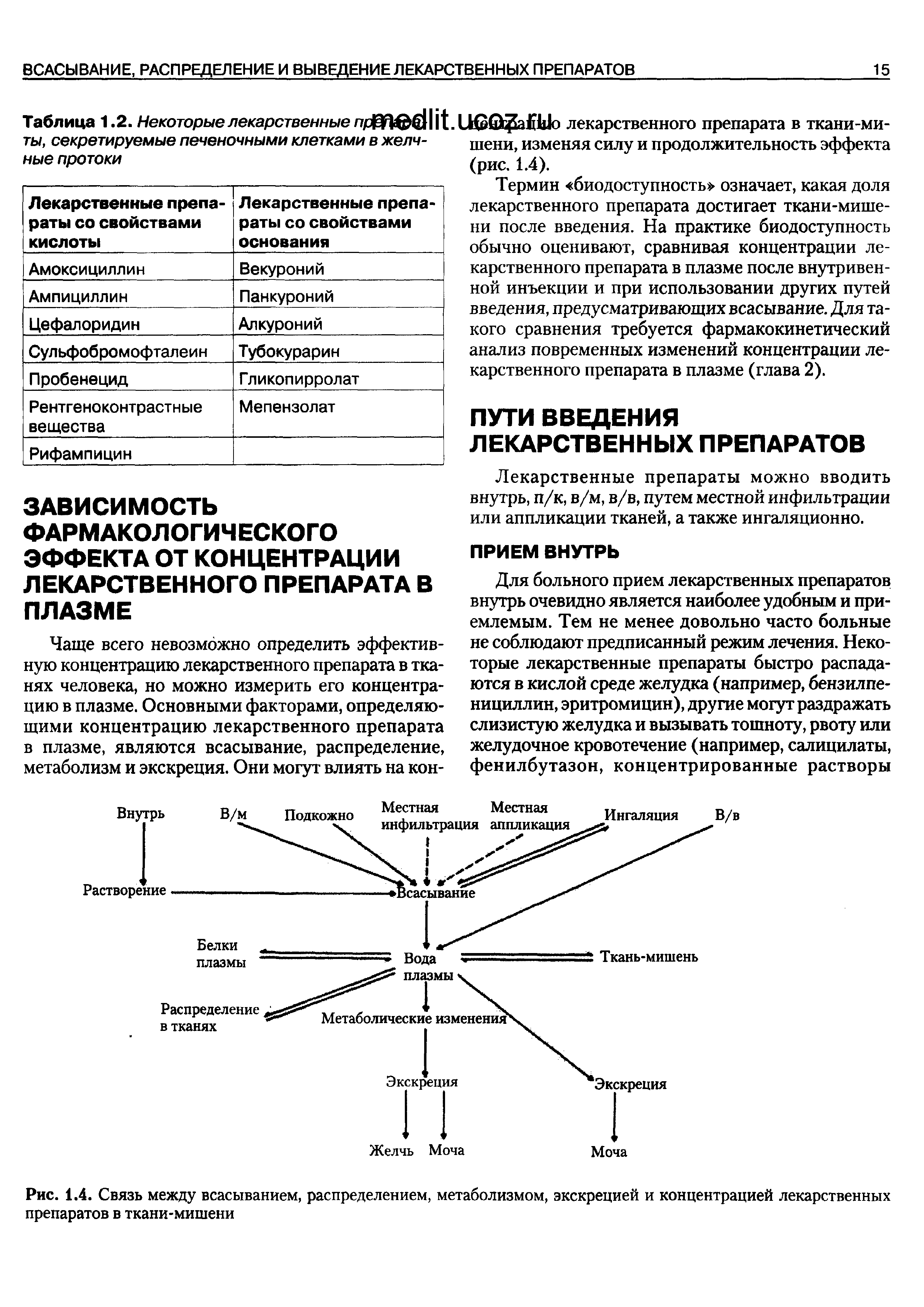 Рис. 1.4. Связь между всасыванием, распределением, метаболизмом, экскрецией и концентрацией лекарственных препаратов в ткани-мишени...