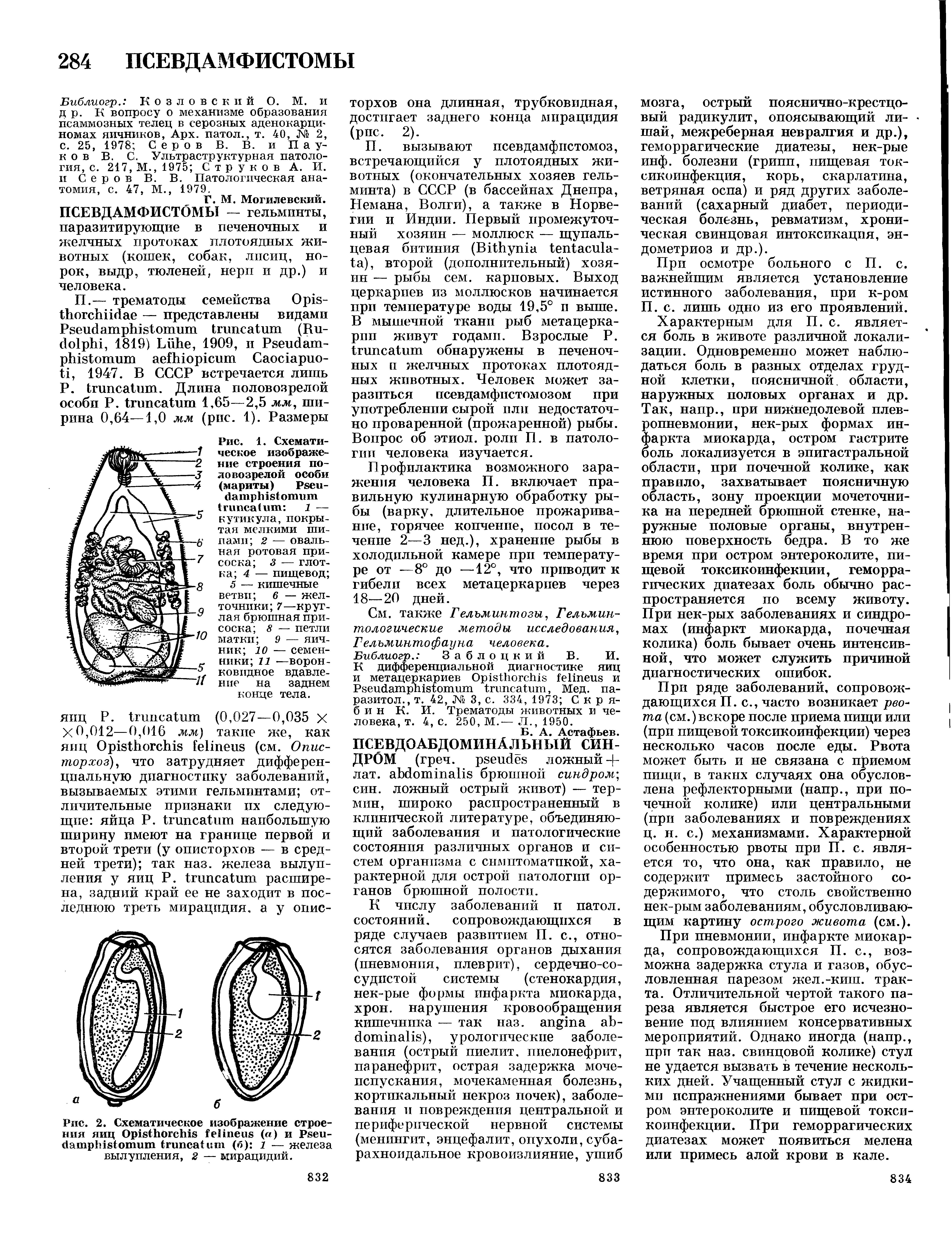 Рис. 2. Схематическое изображение строения яиц Ор1в1ЬогсЫ8 ГеИпеив (а) и Рвеи-йатрЫв шит 1гипса1ит (б) 1 — железа вылупления, 2 — мирацидий.