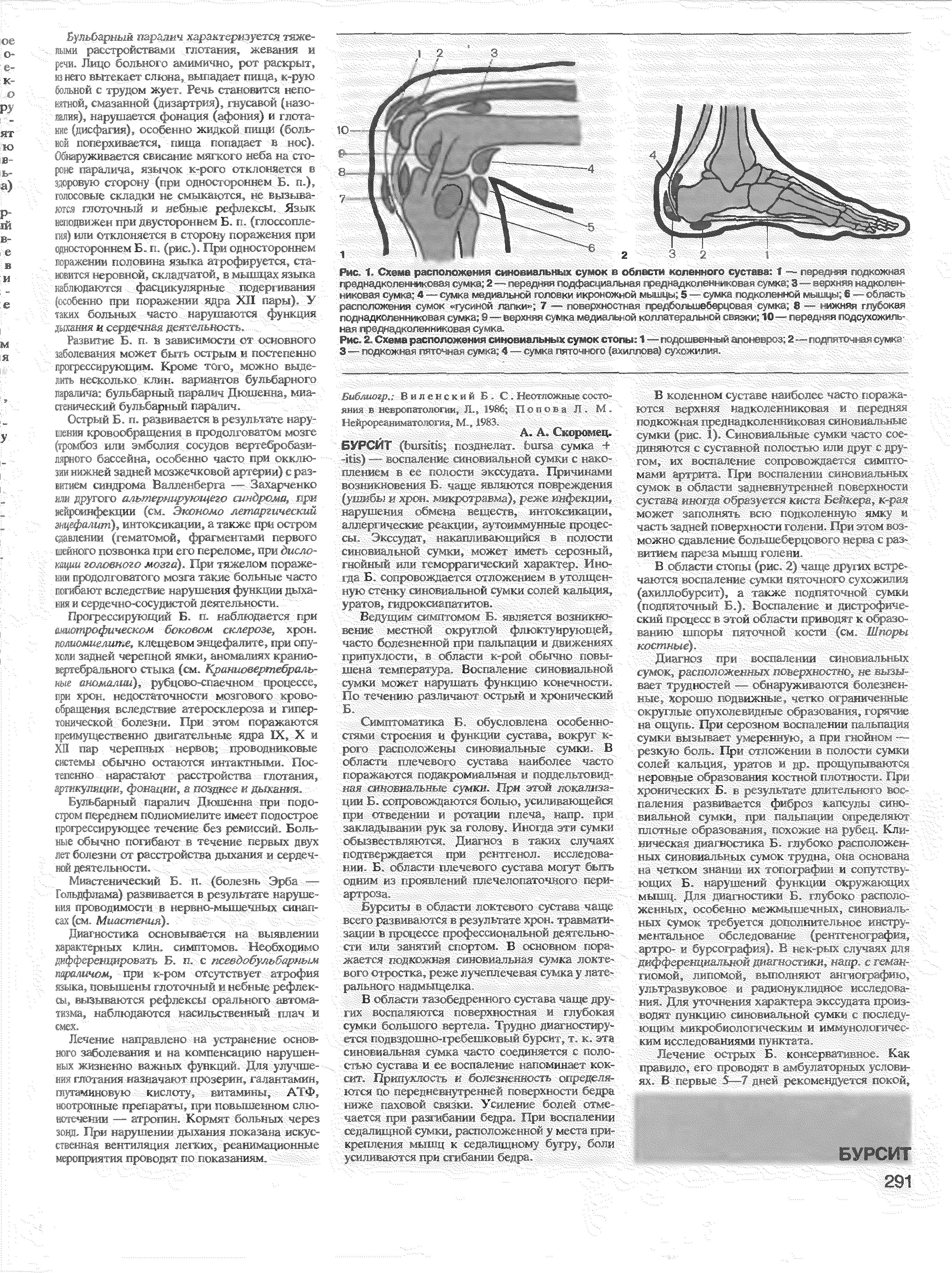 Рис. 1. Схема расположения синовиальных сумок в области коленного сустава. I - - I дот ч я нт 1 ожне...