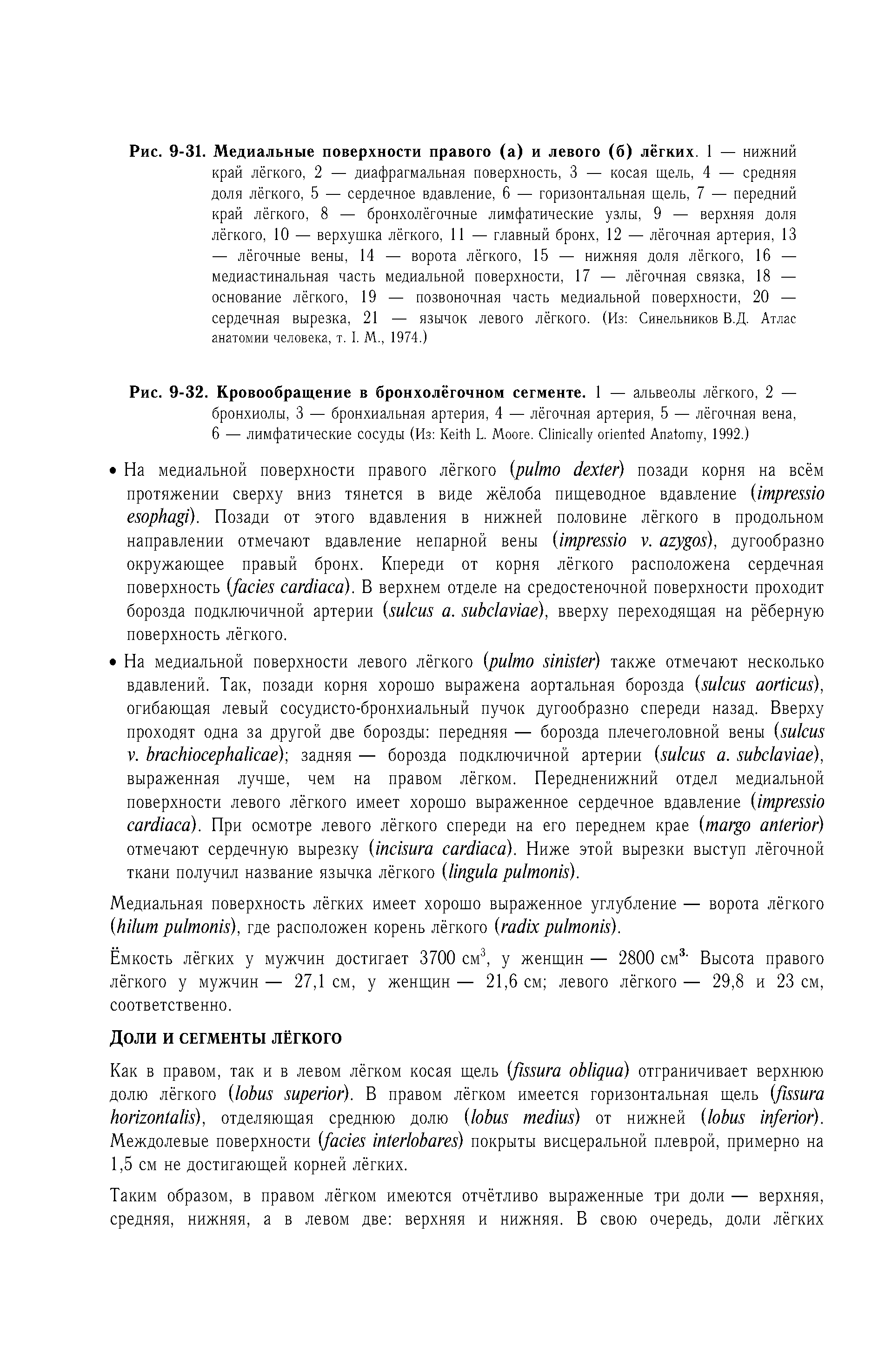 Рис. 9-32. Кровообращение в бронхолёгочном сегменте. 1 — альвеолы лёгкого, 2 — бронхиолы, 3 — бронхиальная артерия, 4 — лёгочная артерия, 5 — лёгочная вена, 6 — лимфатические сосуды (Из K L. M . C A , 1992.)...