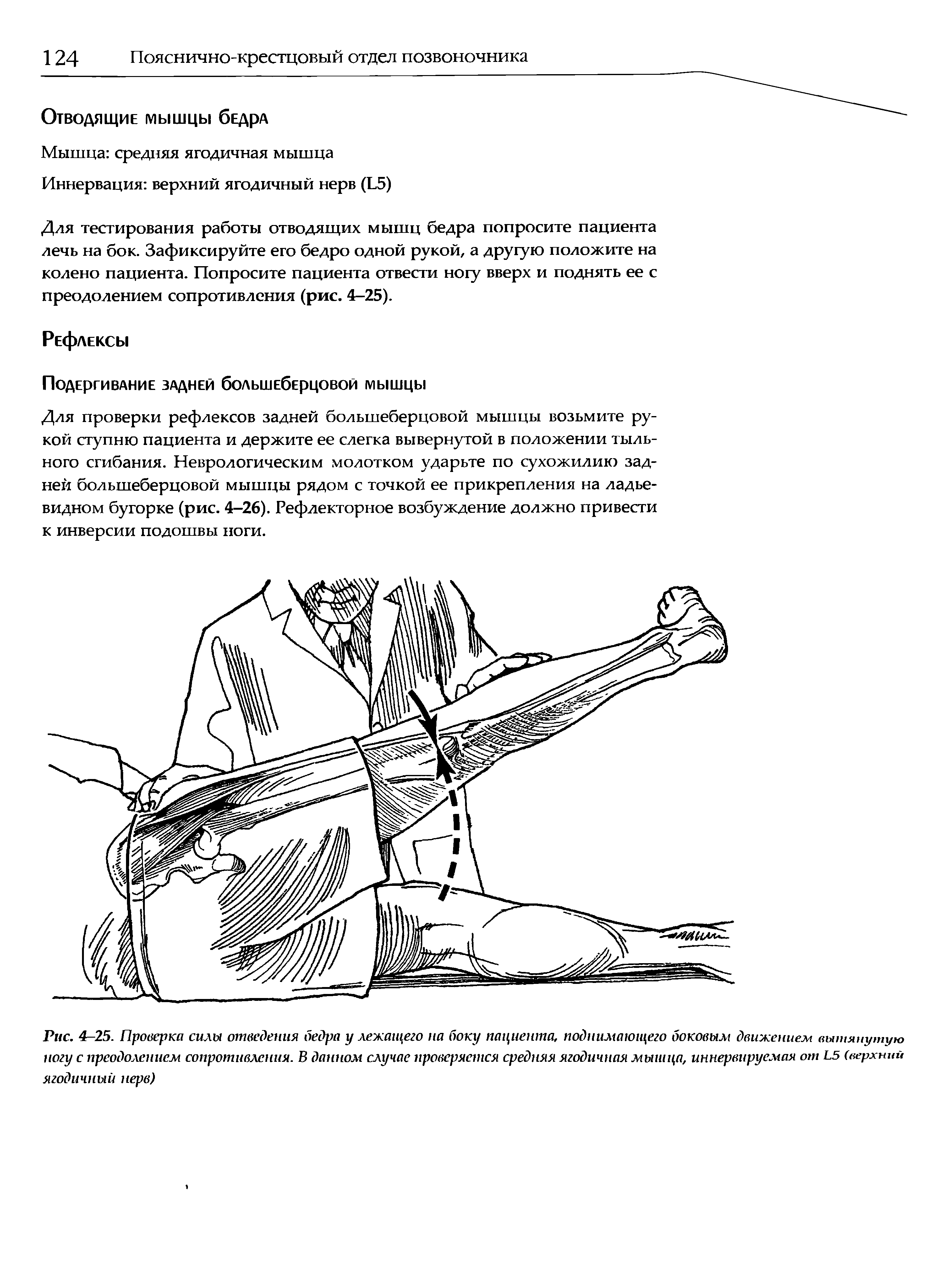 Рис. 4-25. Проверка силы отведения бедра у лежащего на боку пациента, поднимающего боковым движением вытянутую ногу с преодолением сопротивления. В данном случае проверяется средняя ягодичная мышца, иннервируемая от Ь5 (верхний ягодичный нерв)...