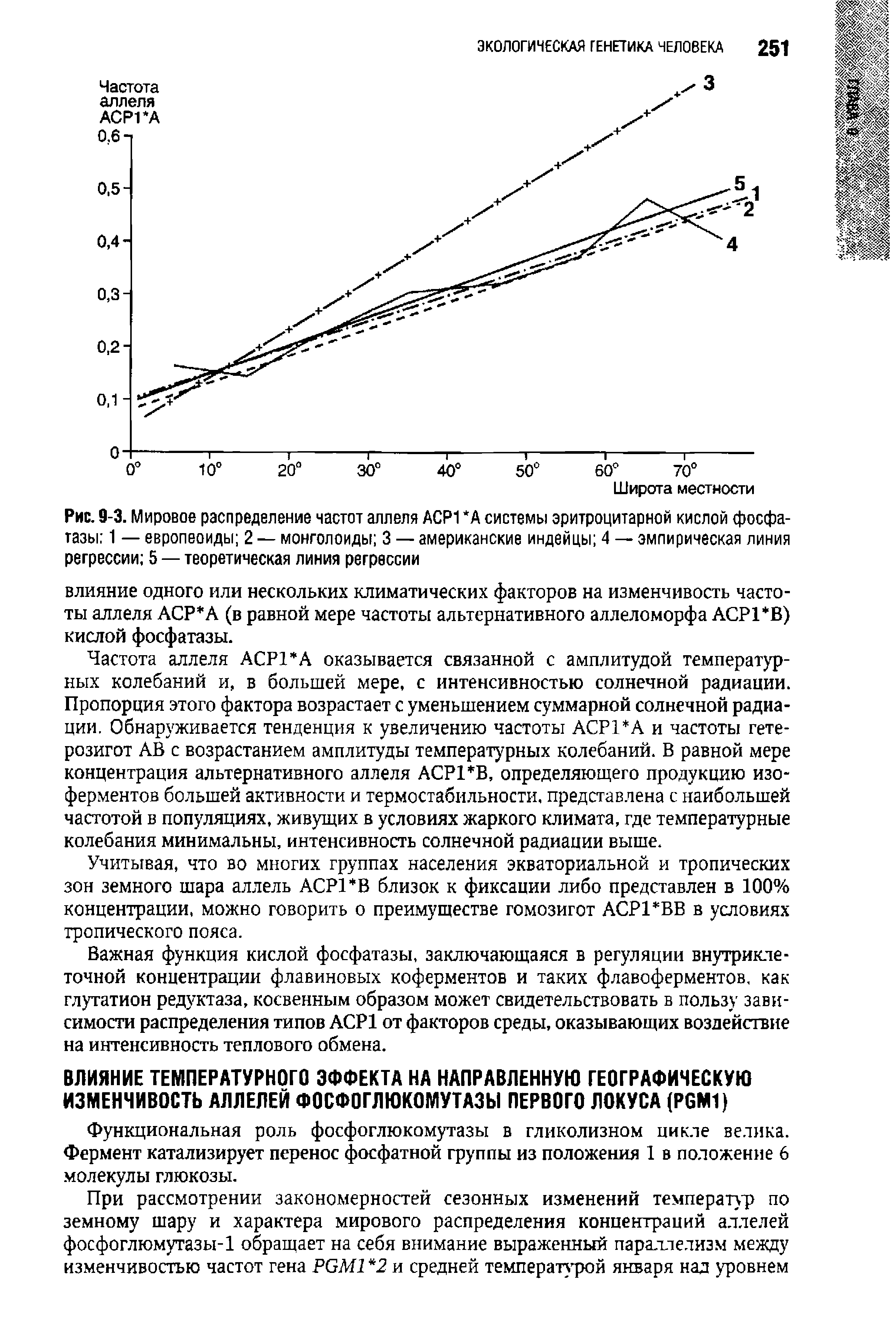 Рис. 9-3. Мировое распределение частот аллеля АСР1 А системы эритроцитарной кислой фосфатазы 1 — европеоиды 2 — монголоиды 3 — американские индейцы 4 — эмпирическая линия регрессии 5 — теоретическая линия регрессии...