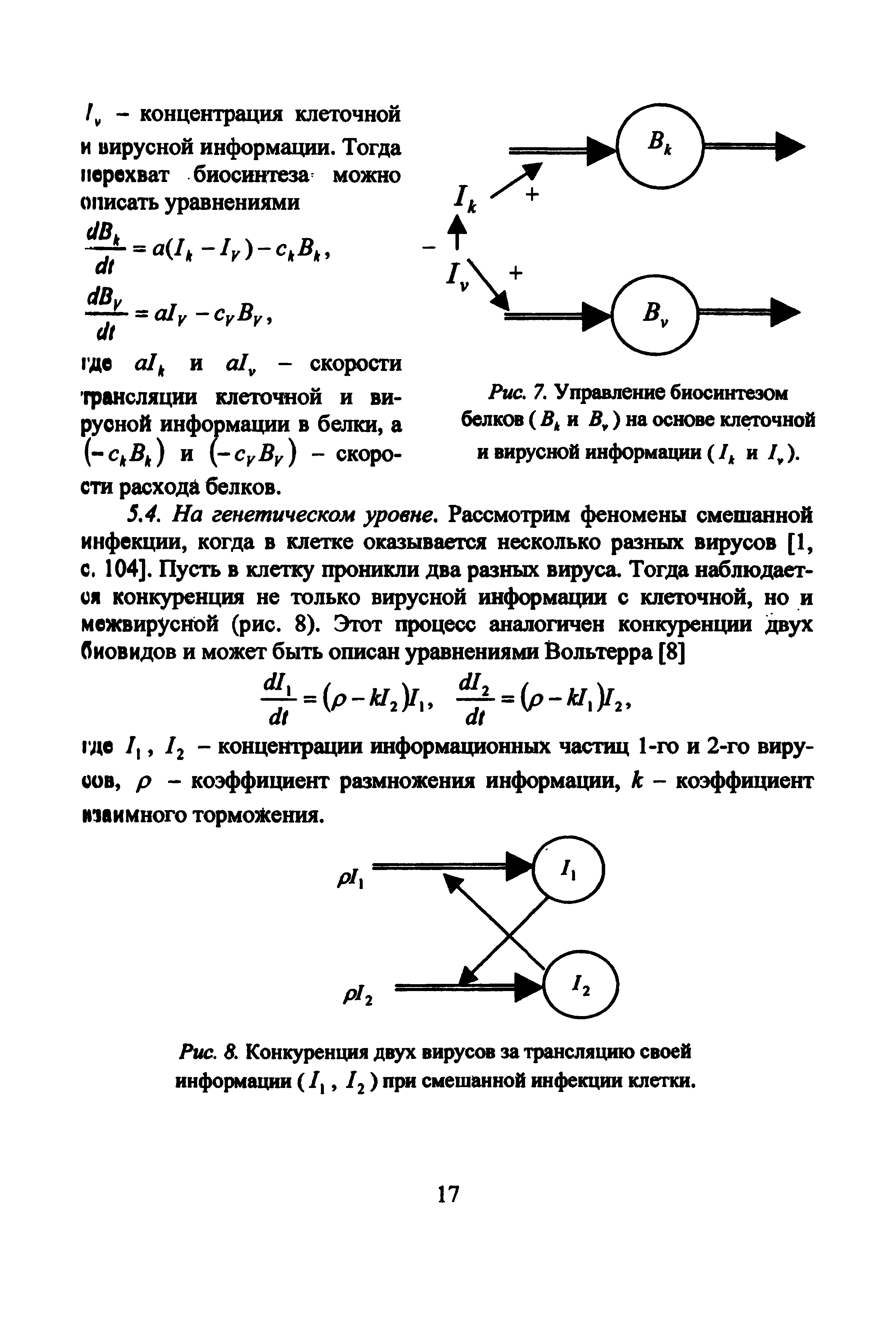 Рис. 8. Конкуренция двух вирусов за трансляцию своей информации ( /, /2) при смешанной инфекции клетки.