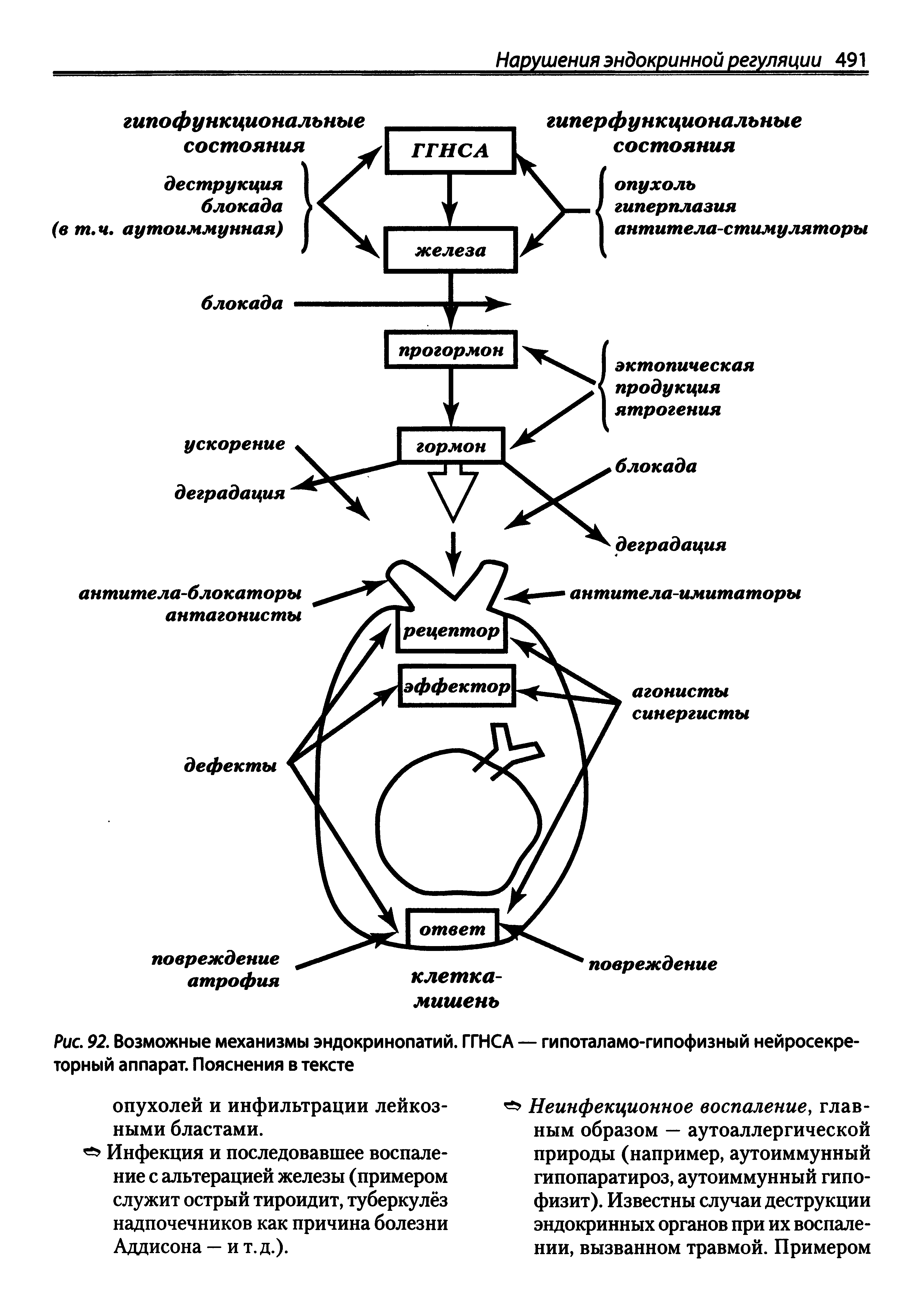 Рис. 92. Возможные механизмы эндокринопатий. торный аппарат. Пояснения в тексте...