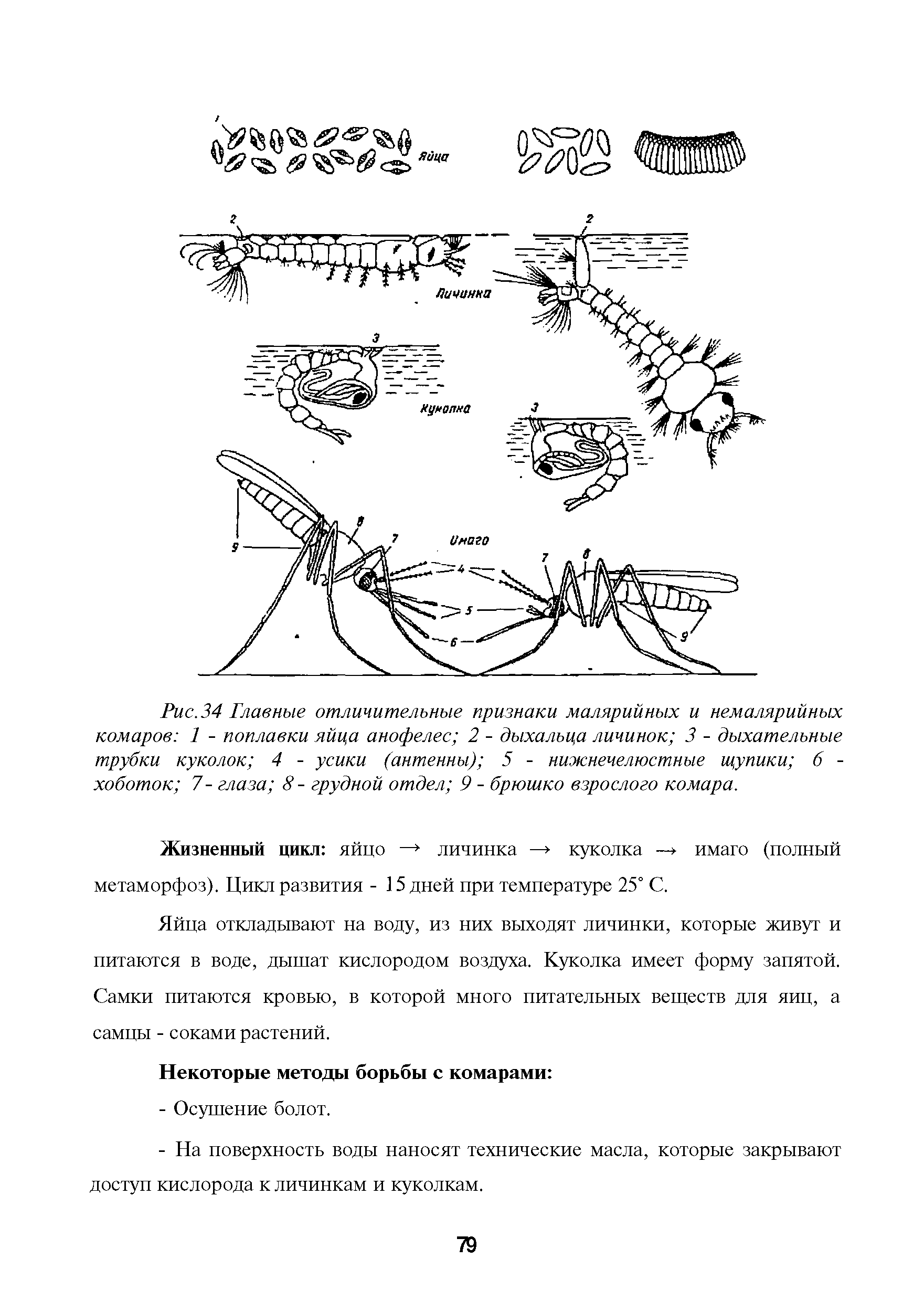 Рис. 34 Главные отличительные признаки малярийных и немалярийных комаров 1 - поплавки яйца анофелес 2 - дыхальца личинок 3 - дыхательные трубки куколок 4 - усики (антенны) 5 - нижнечелюстные щупики 6 -хоботок 7- глаза 8 - грудной отдел 9 - брюшко взрослого комара.
