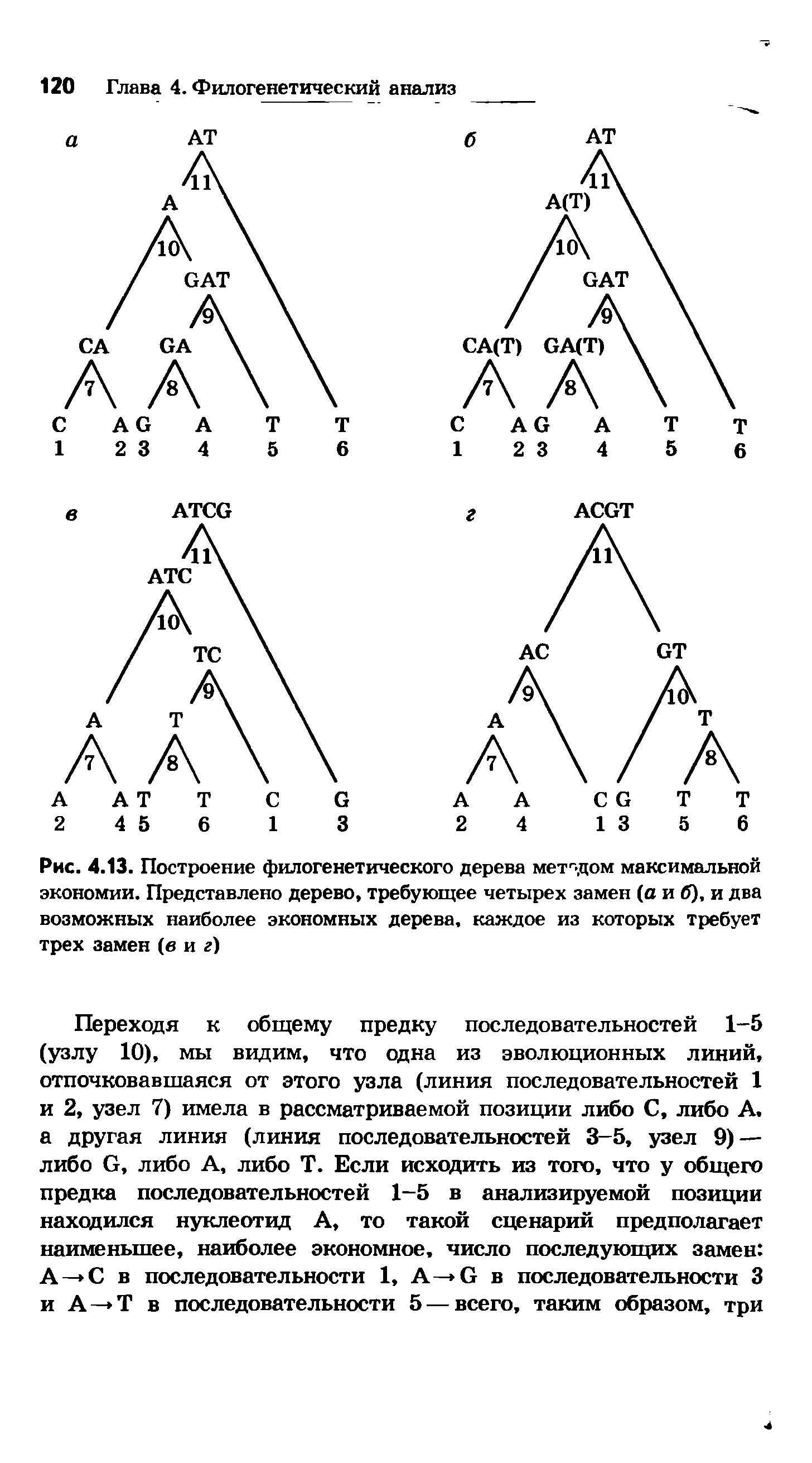 Рис. 4.13. Построение филогенетического дерева методом максимальной экономии. Представлено дерево, требующее четырех замен (о и в), и два возможных наиболее экономных дерева, каждое из которых требует трех замен (в и г)...