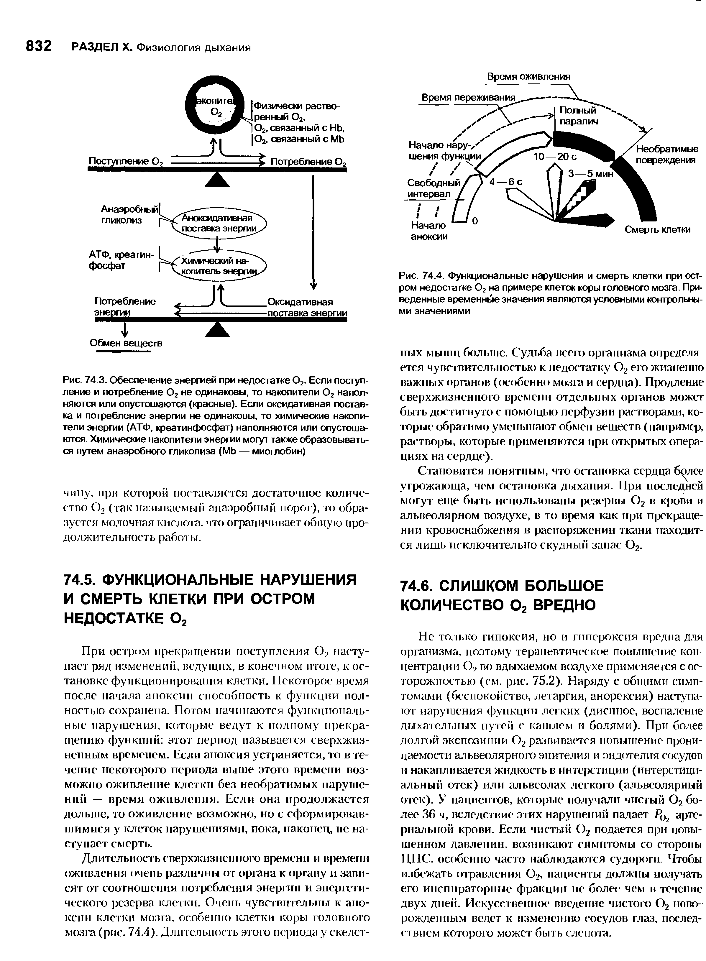 Рис. 74.4. Функциональные нарушения и смерть клетки при остром недостатке О2 на примере клеток коры головного мозга. Приведенные временные значения являются условными контрольными значениями...