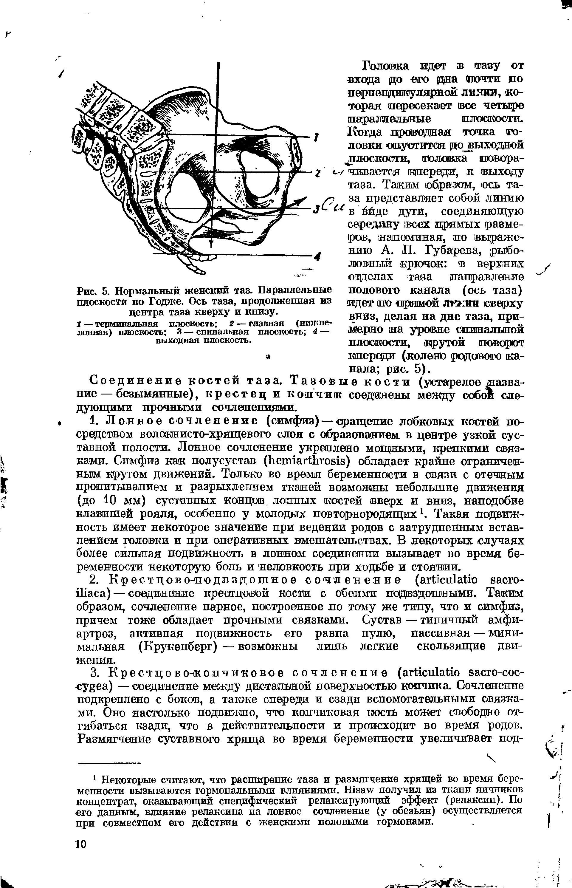 Рис. 5. Нормальный женский таз. Параллельные плоскости по Годже. Ось таза, продолженная из центра таза кверху и книзу.