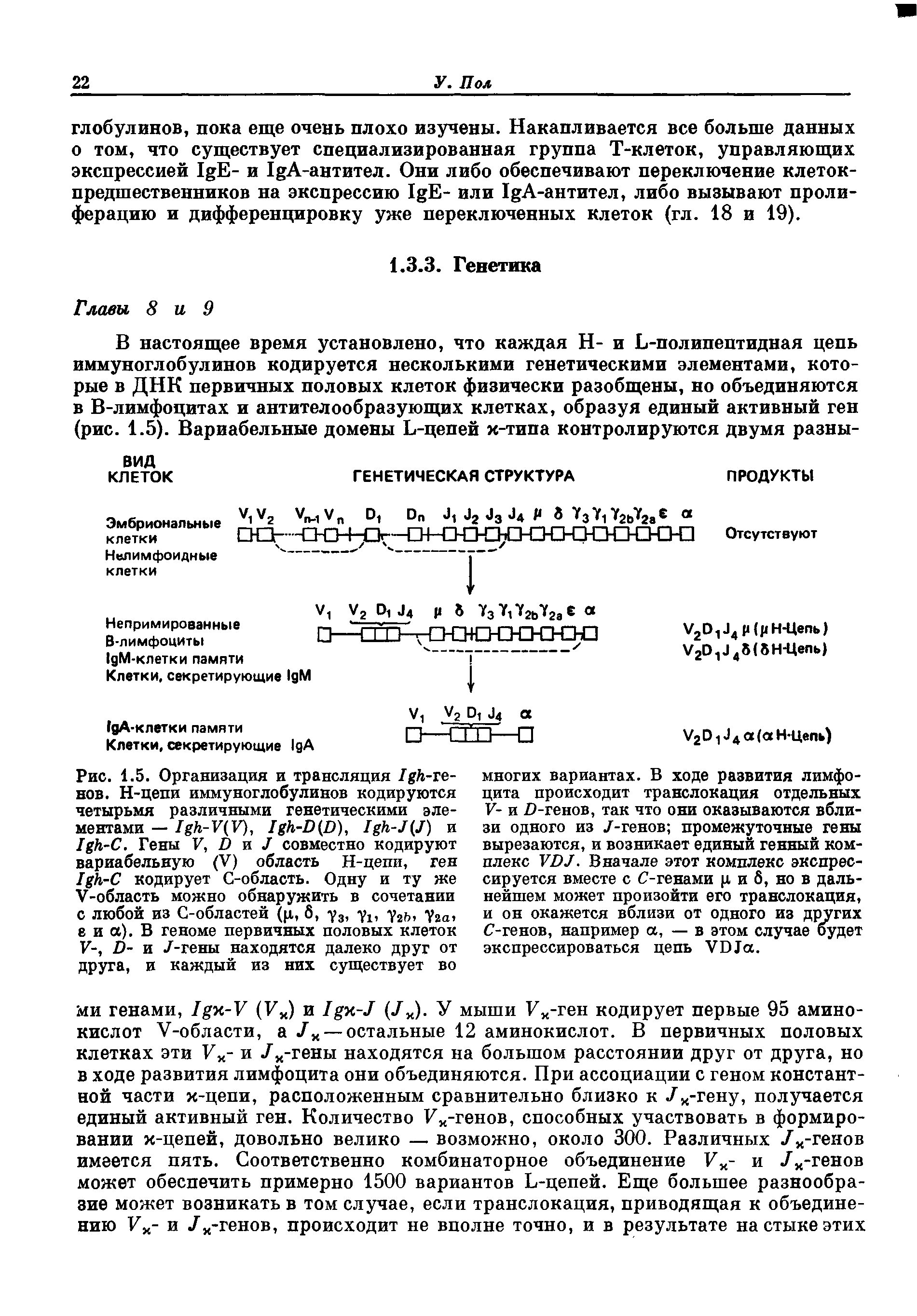 Рис. 1.5. Организация и трансляция 1ек-те-нов. Н-цепи иммуноглобулинов кодируются четырьмя различными генетическими элементами — 1ёк-У(У), и...