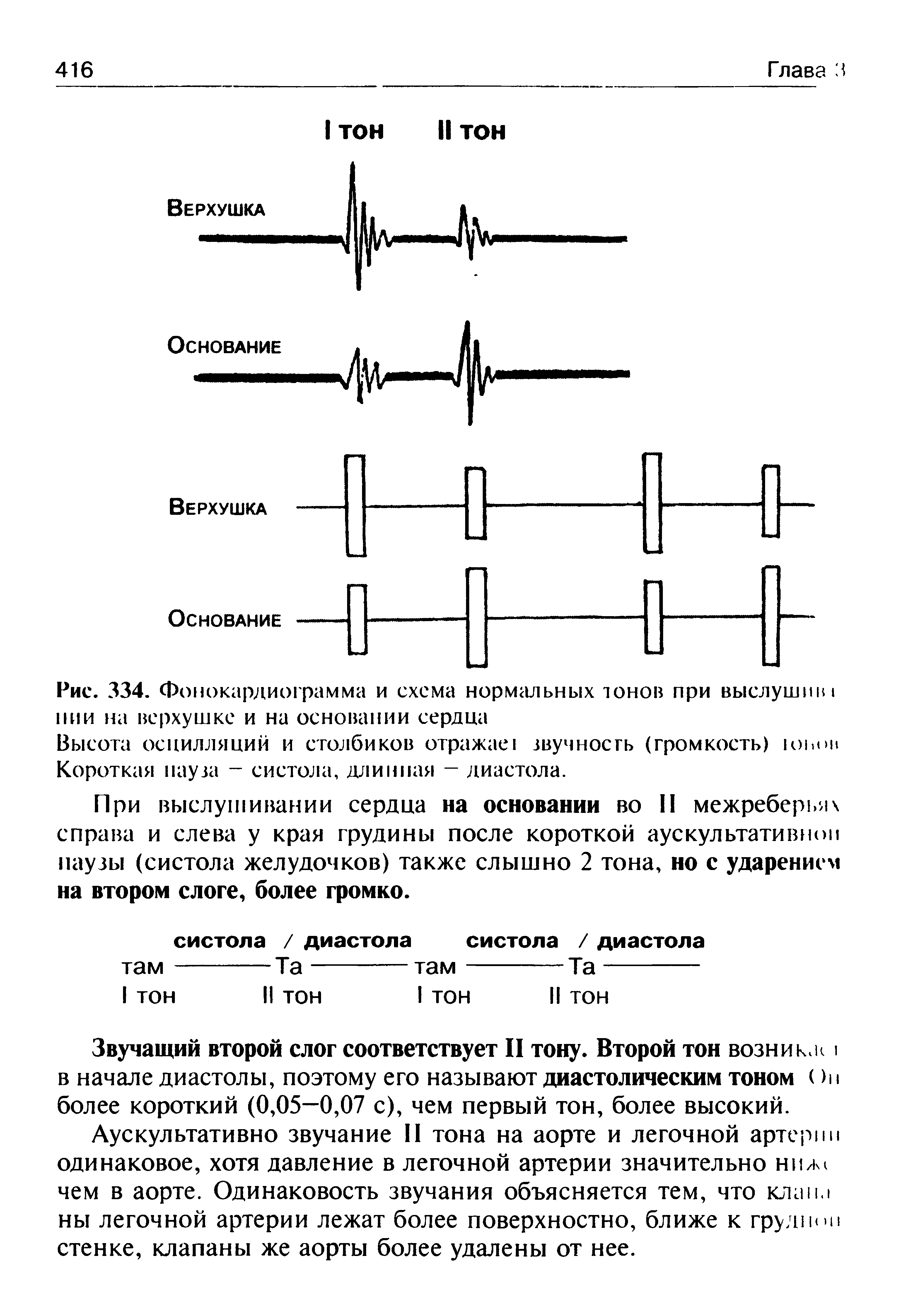 Рис. 334. Фонокардиограмма и схема нормальных тонов при выслушшм пии на верхушке и на основании сердца...