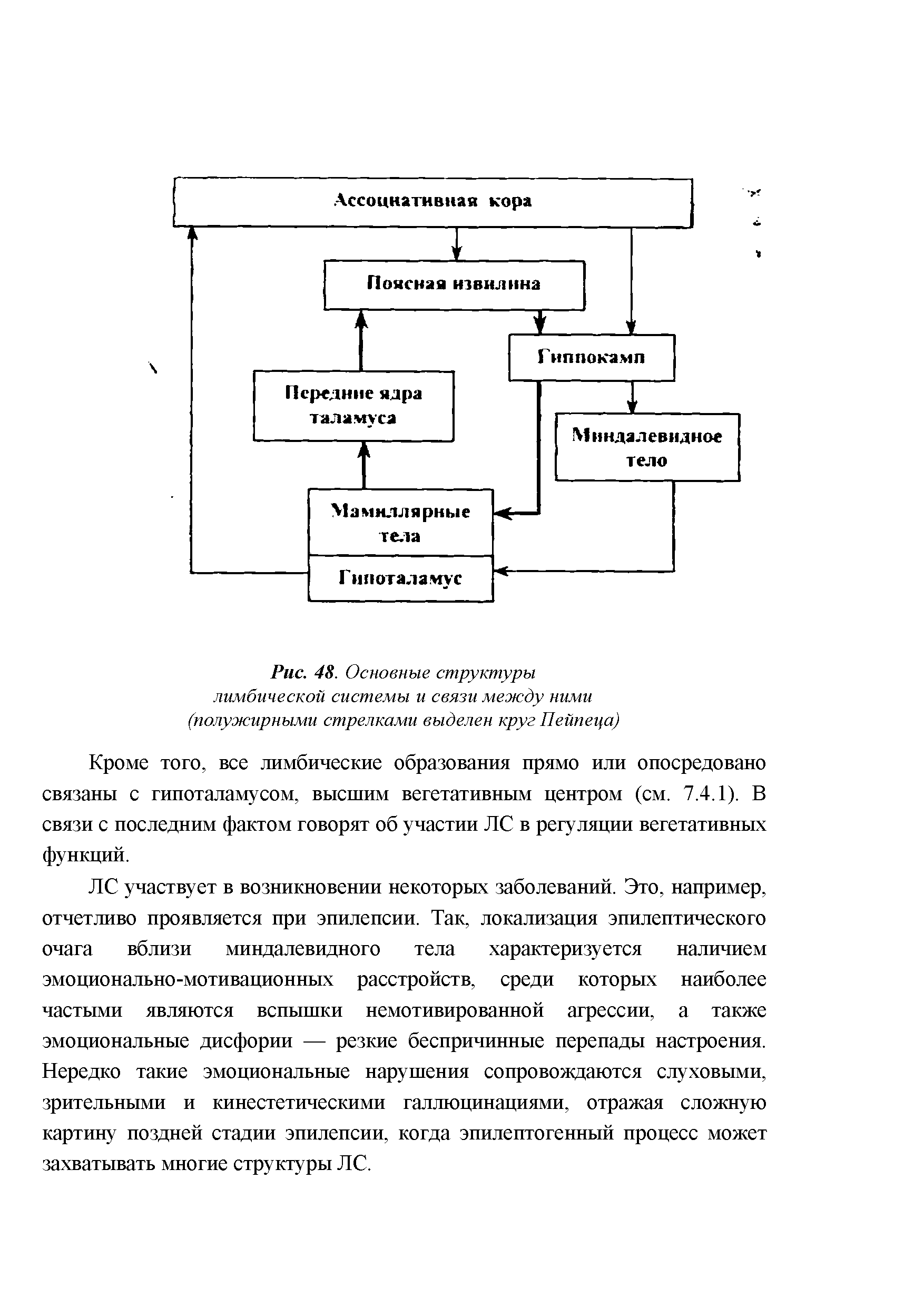 Рис. 48. Основные структуры лимбической системы и связи между ними (полужирными стрелками выделен круг Пейпеца)...