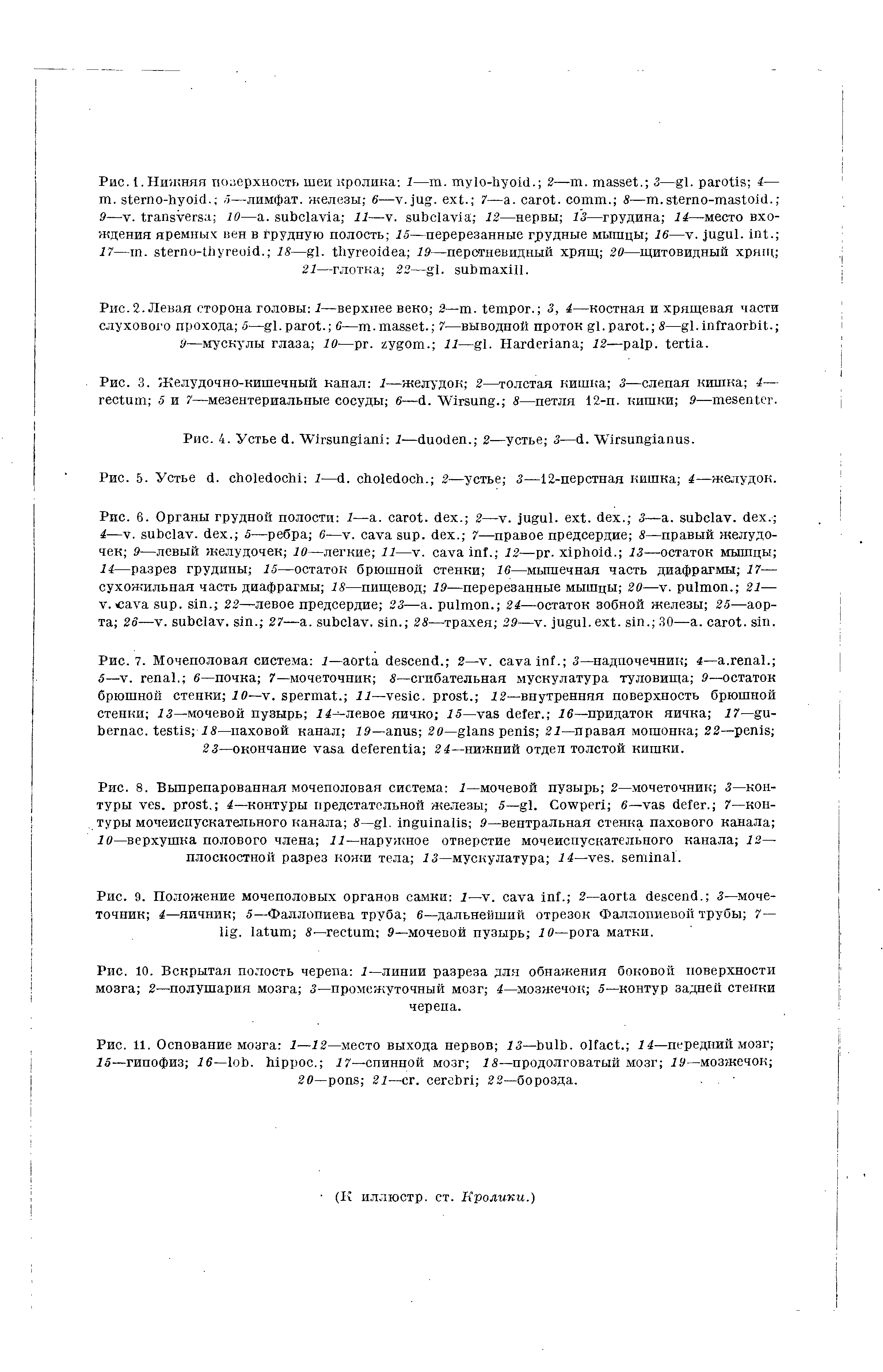 Рис. 8. Выпрепарованная мочеполовая система 1—мочевой пузырь 2—мочеточник 3—контуры . . 4—контуры предстательной железы 5— . C б— . 7—контуры мочеиспускательного канала S— . 9—вентральная стенка пахового канала ...