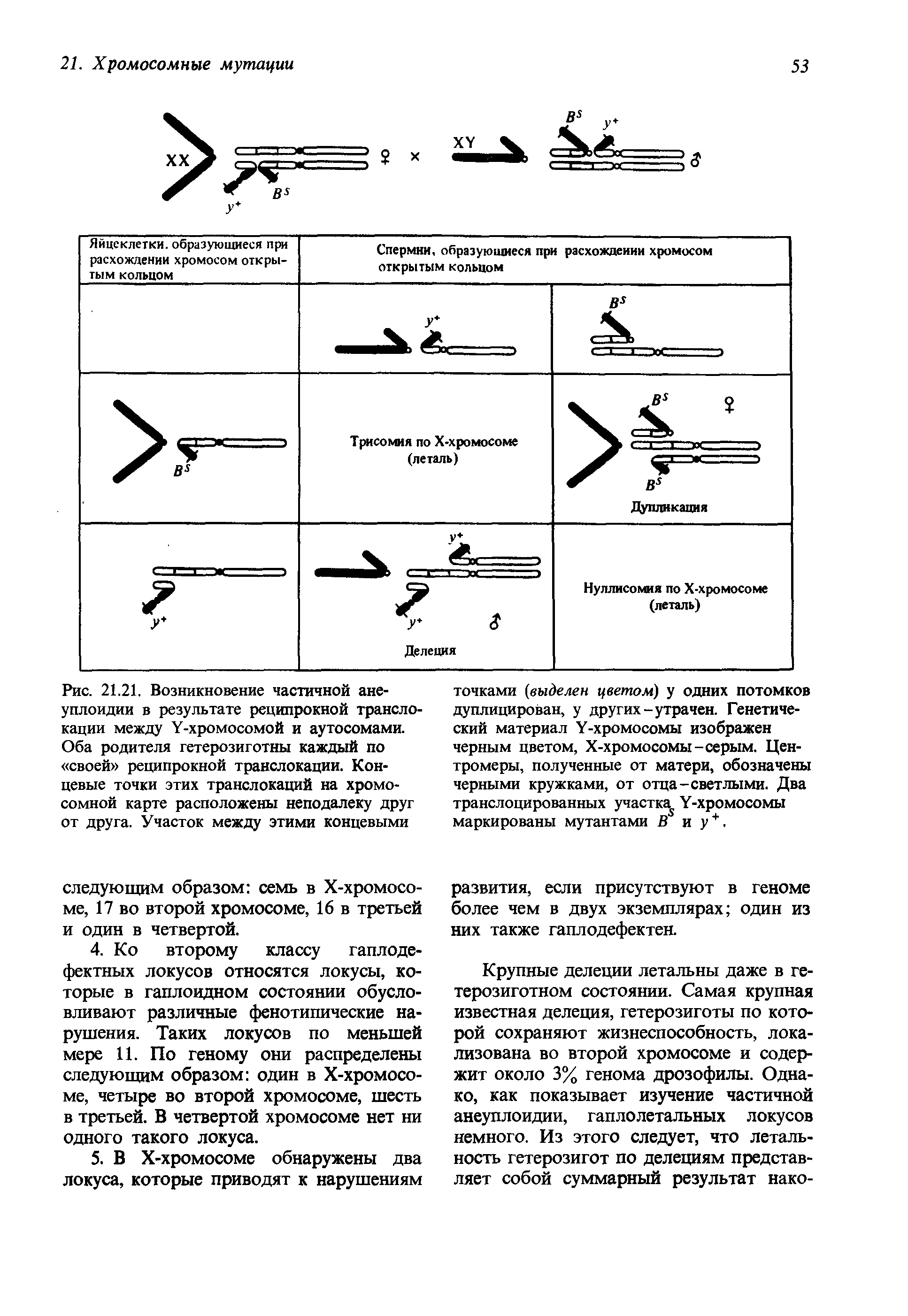 Рис. 21.21. Возникновение частичной ане-уплоидии в результате реципрокной транслокации между У-хромосомой и аутосомами. Оба родителя гетерозиготны каждый по своей реципрокной транслокации. Концевые точки этих транслокаций на хромосомной карте расположены неподалеку друг от друга. Участок между этими концевыми...