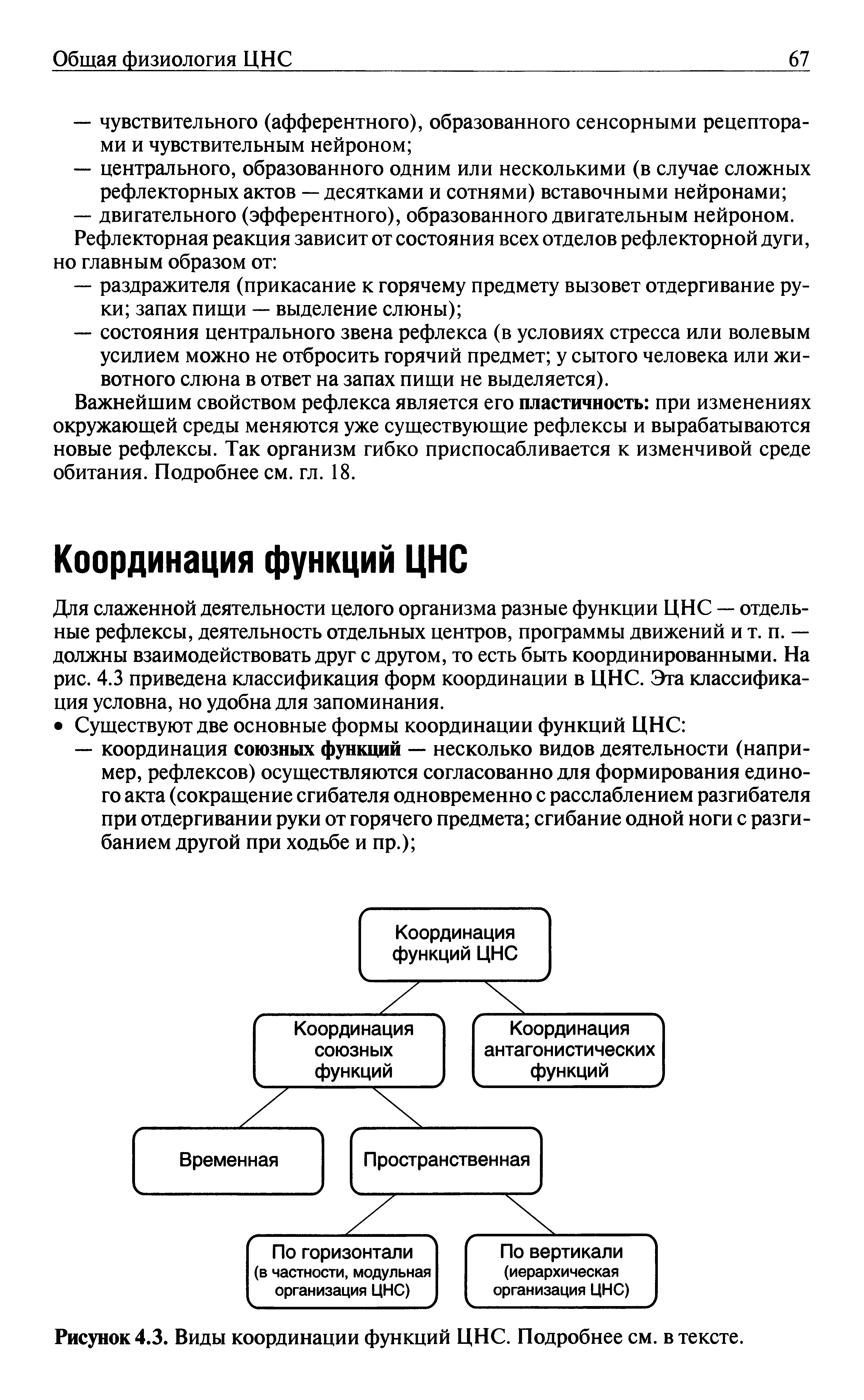 Рисунок 4.3. Виды координации функций ЦНС. Подробнее см. в тексте.