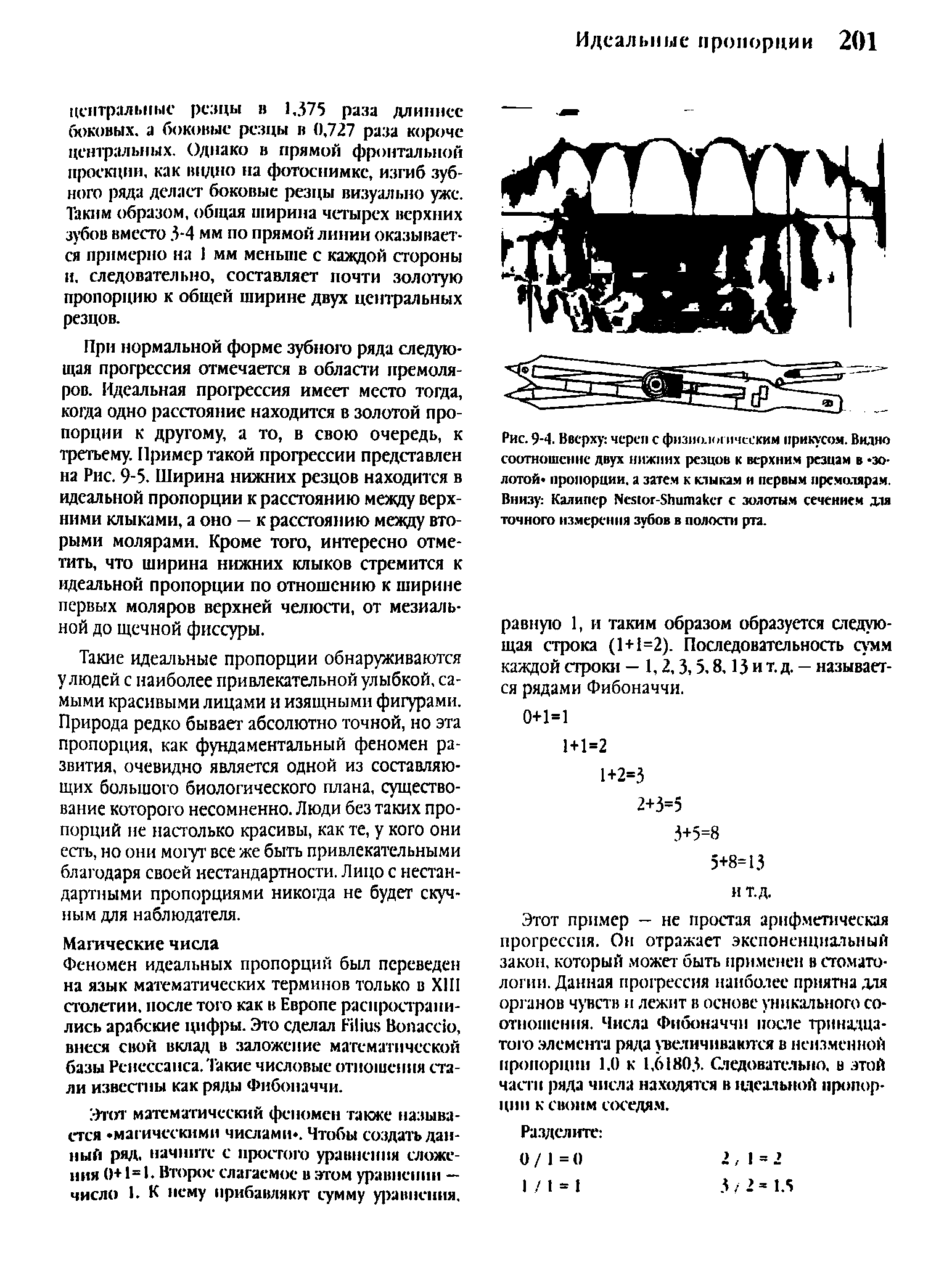 Рис. 9-4. Вверху череп с фпзиаии ическим прикусом. Видно соотношение двух нижних резцов к верхним резцам в -золотой пропорции, а затем к клыкам и первым премолярам. Внизу Калипер Неяог-.ЗЬптакег с золотым сечением для точного измерения зубов в полости рта.