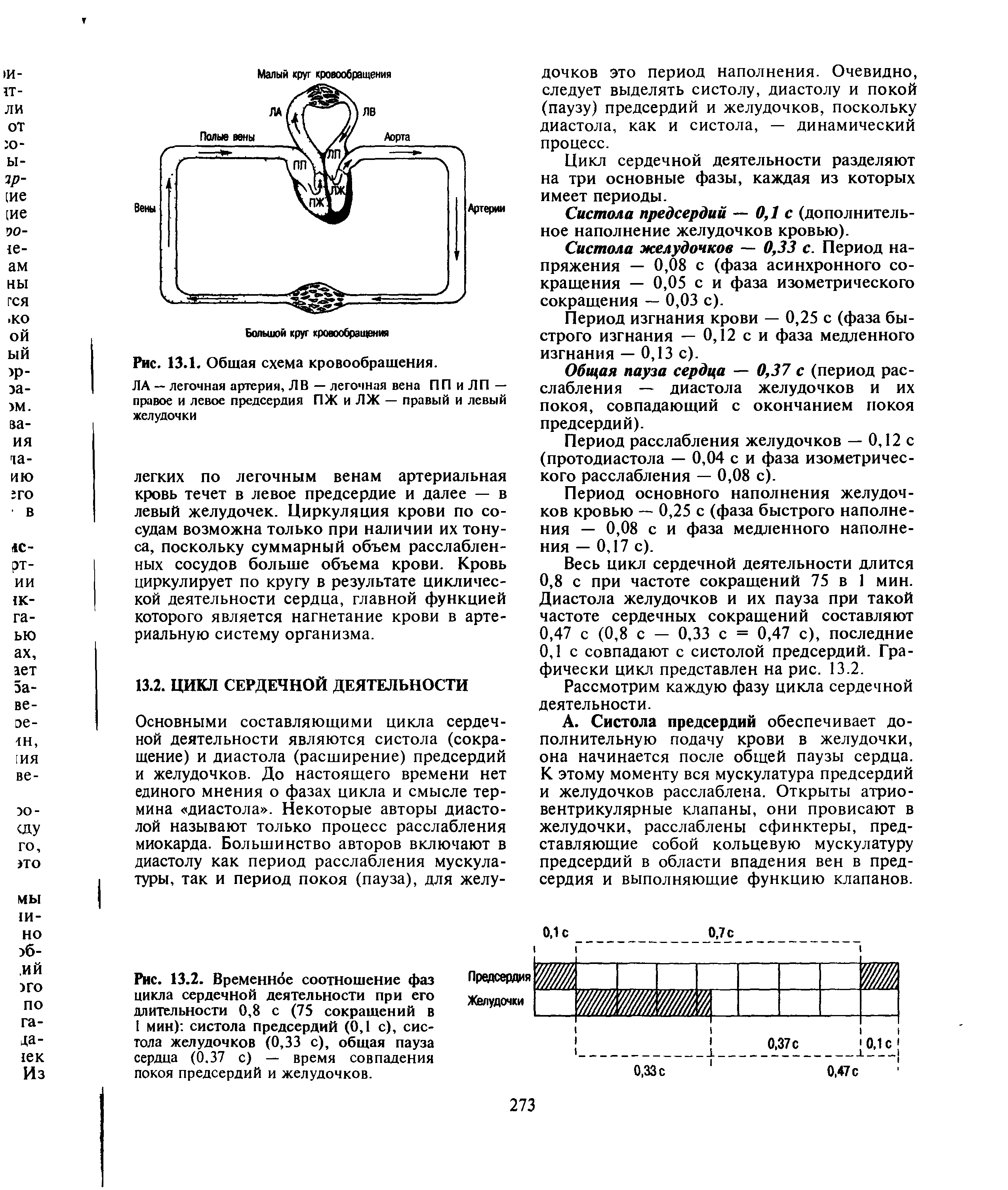 Рис. 13.2. Временное соотношение фаз цикла сердечной деятельности при его длительности 0,8 с (75 сокращений в 1 мин) систола предсердий (0,1 с), систола желудочков (0,33 с), общая пауза сердца (0.37 с) — время совпадения покоя предсердий и желудочков.