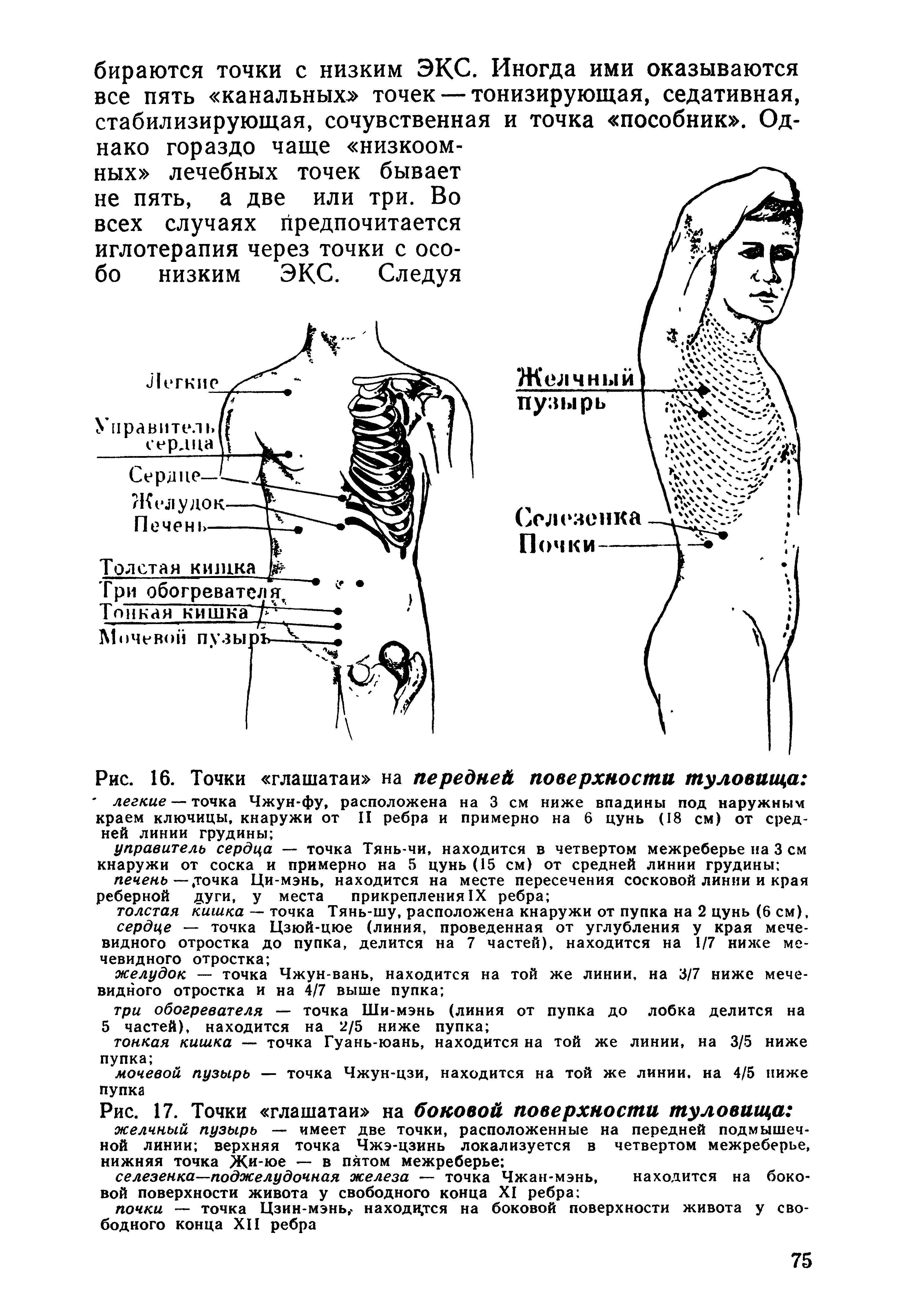 Рис. 16. Точки глашатаи на передней поверхности туловища легкие — точка Чжун-фу, расположена на 3 см ниже впадины под наружным краем ключицы, кнаружи от II ребра и примерно на 6 цунь (18 см) от средней линии грудины ...