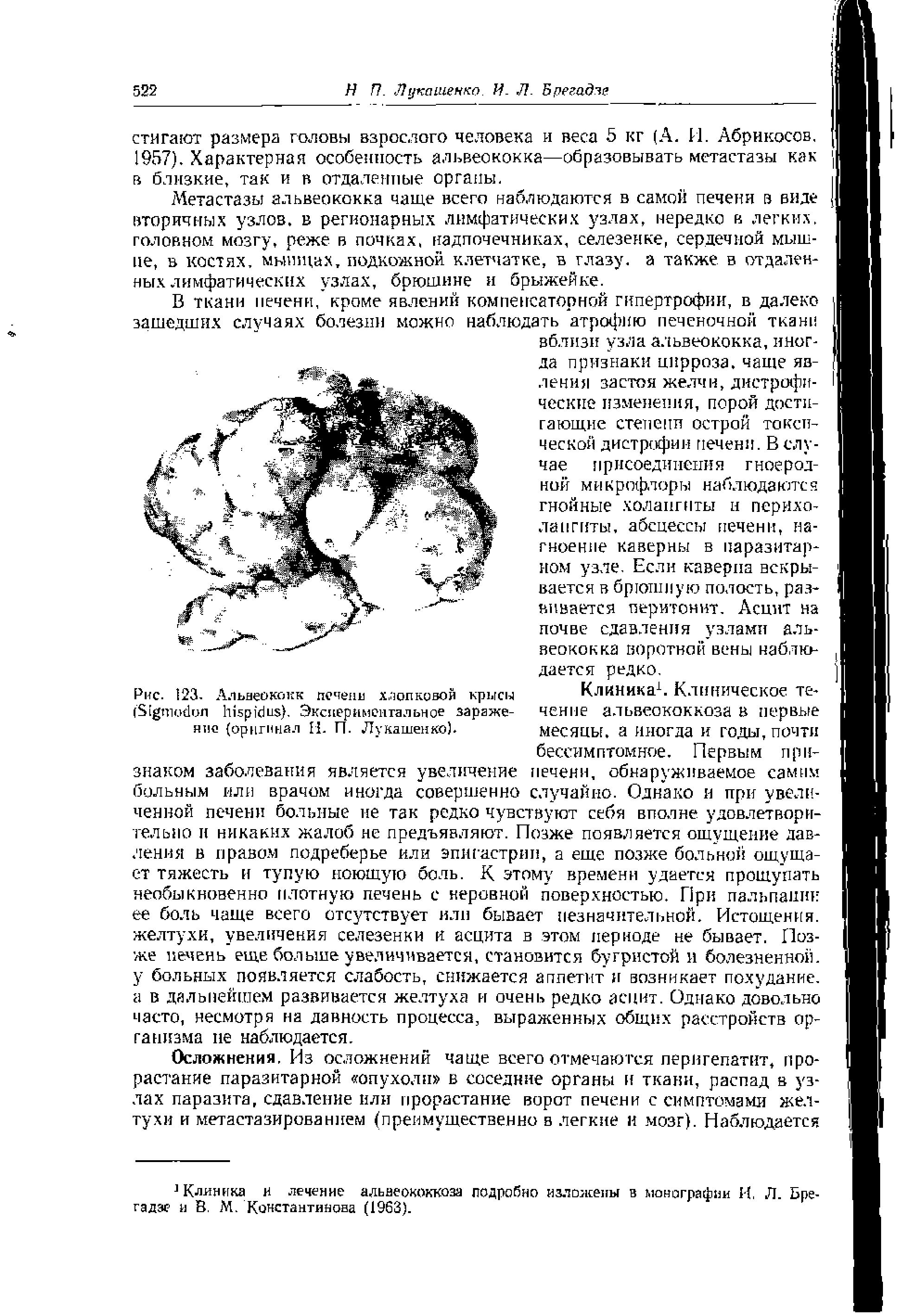 Рис. 23, Альнеококк печени хлопковой крысы (S ). Экспериментальное заражение (оригинал II. П. Лукашенко).