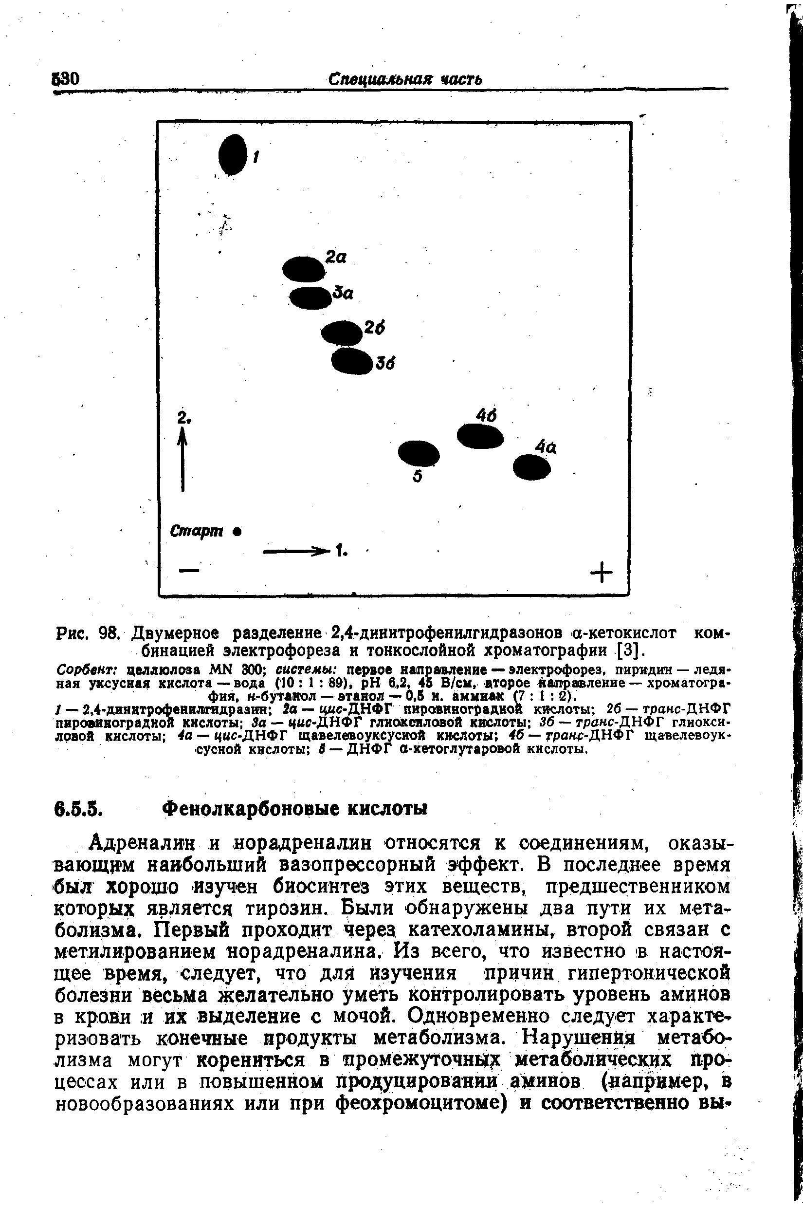 Рис. 98. Двумерное разделение 2,4-динитрофенилгидразонов а-кетокислот комбинацией электрофореза и тонкослойной хроматографии [3].