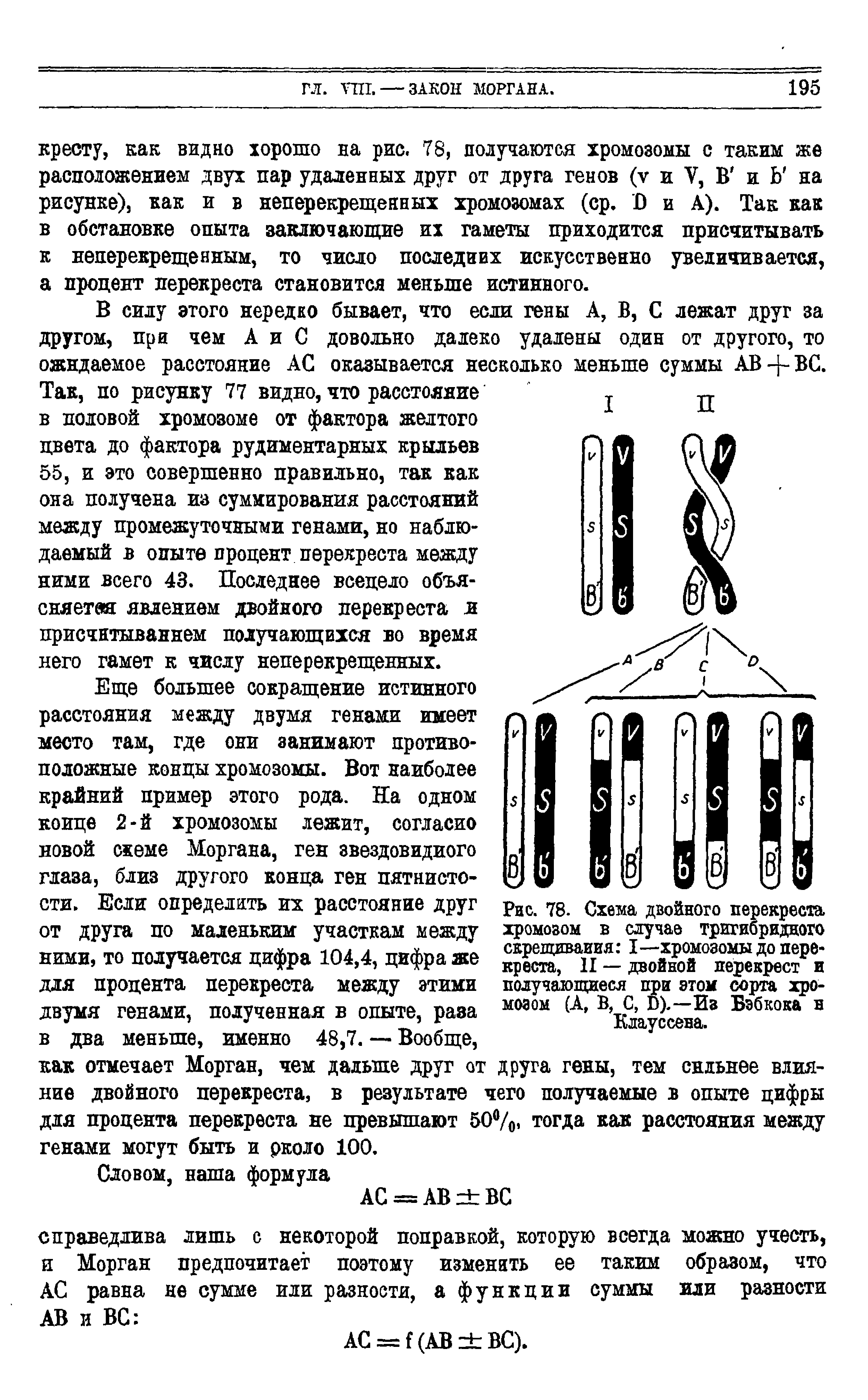 Рис. 78. Схема двойного перекреста, хромовом в случае тригибридного скрещивания I—хромозомы до перекреста, II — двойной перекрест и получающиеся при этом сорта хромовом (А, В, С, П),—Из Бэбкока н Клауссена.