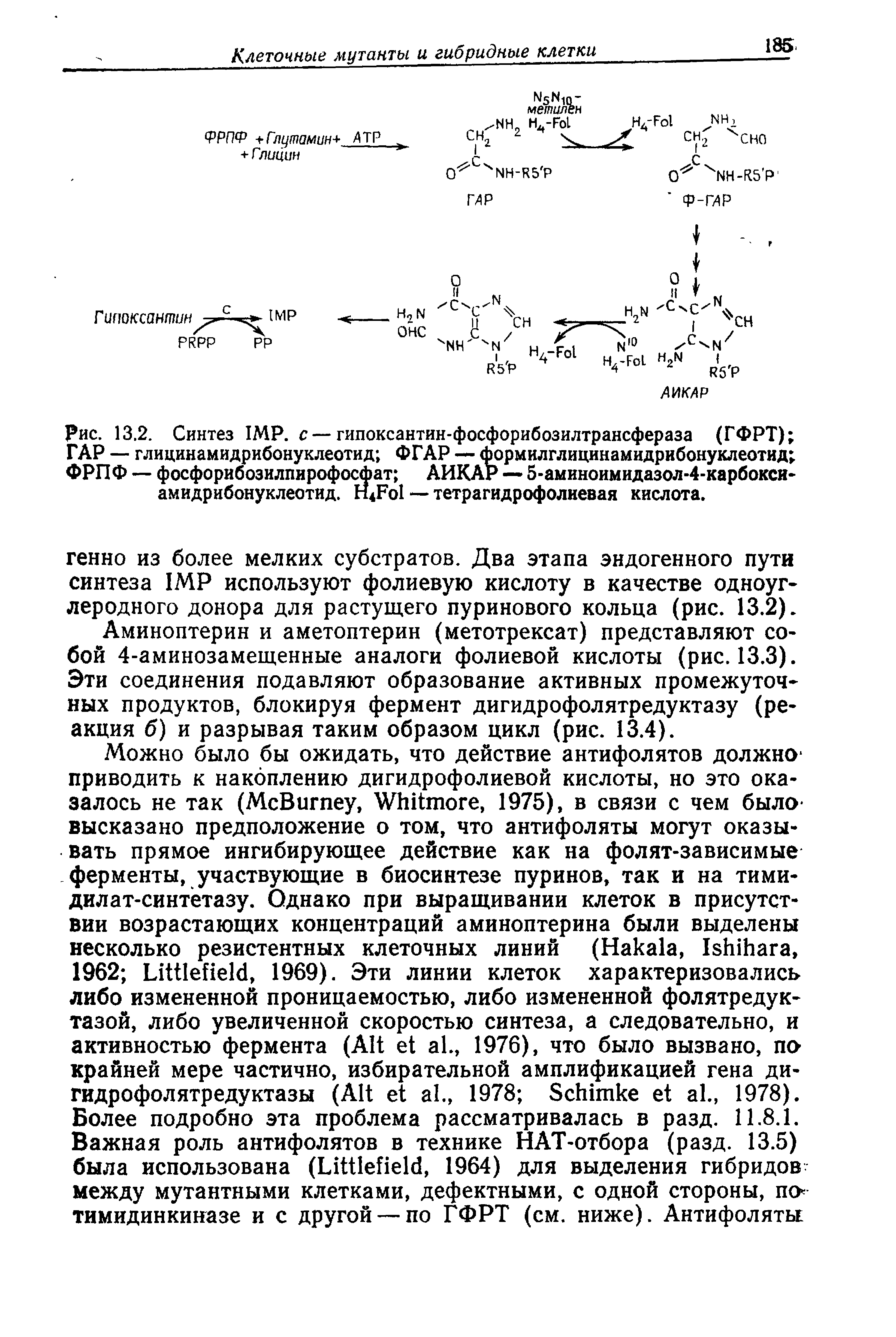 Рис. 13,2. Синтез IMP. с — гипоксантин-фосфорибозилтрансфераза (ГФРТ) ГАР — глицинамидрибонуклеотид ФГАР — формилглицинамидрибонуклеотид ФРПФ — фосфорибозилпирофосфат АИКАР — 5-аминоимидазол-4-карбокси-амидрибонуклеотид. H4F0I — тетрагидрофолиевая кислота.