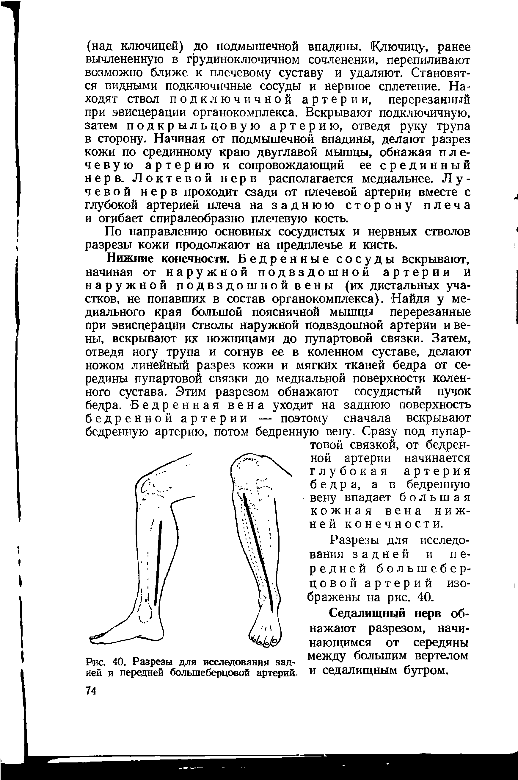 Рис. 40. Разрезы для исследования задней и передней большеберцовой артерий.