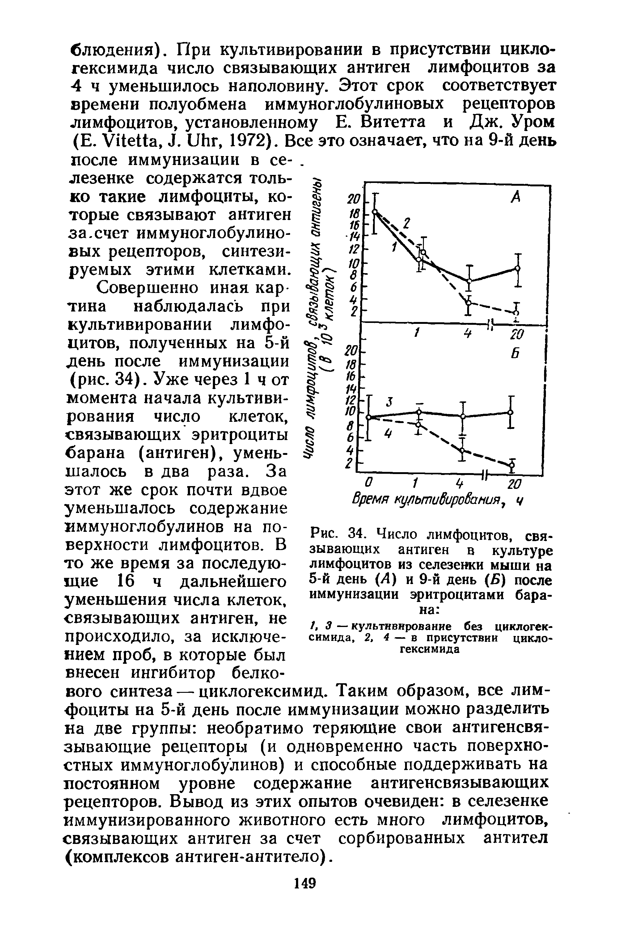 Рис. 34. Число лимфоцитов, связывающих антиген в культуре лимфоцитов из селезенки мыши на 5-й день (Л) и 9-й день (Б) после иммунизации эритроцитами барана ...