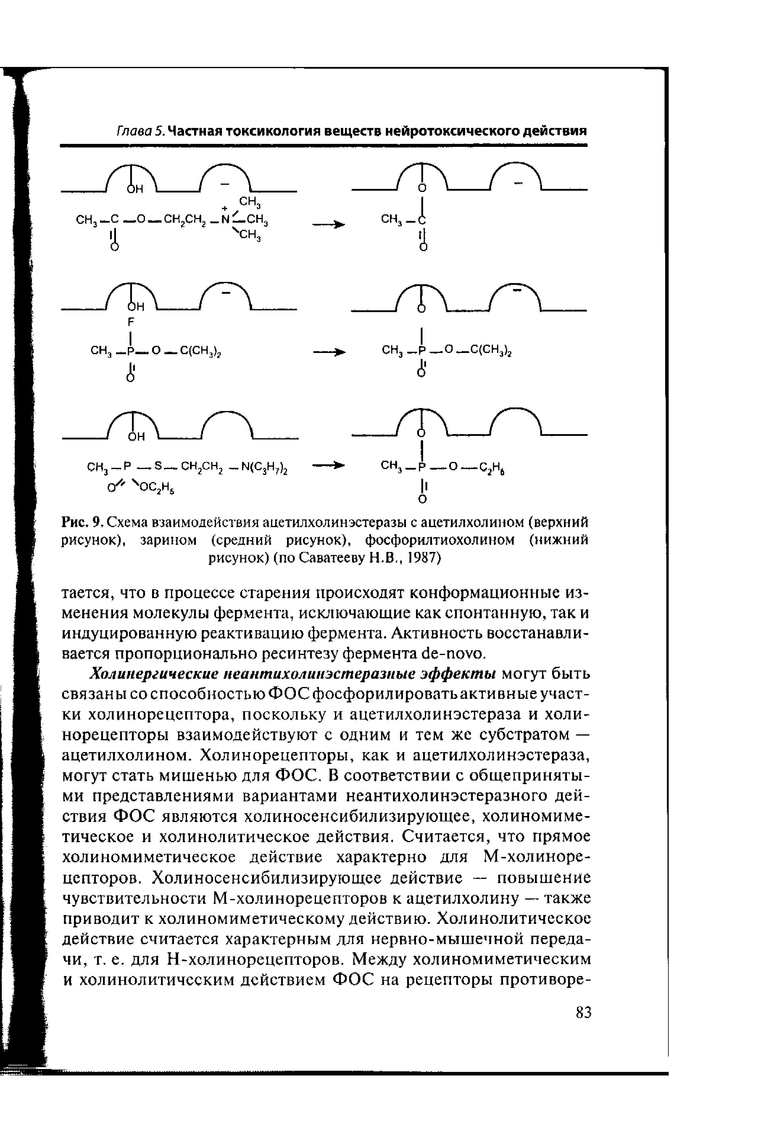 Рис. 9. Схема взаимодействия ацетилхолин эстеразы с ацетилхолином (верхний рисунок), зарином (средний рисунок), фосфорилтиохолином (нижний рисунок) (по Саватееву Н.В., 1987)...