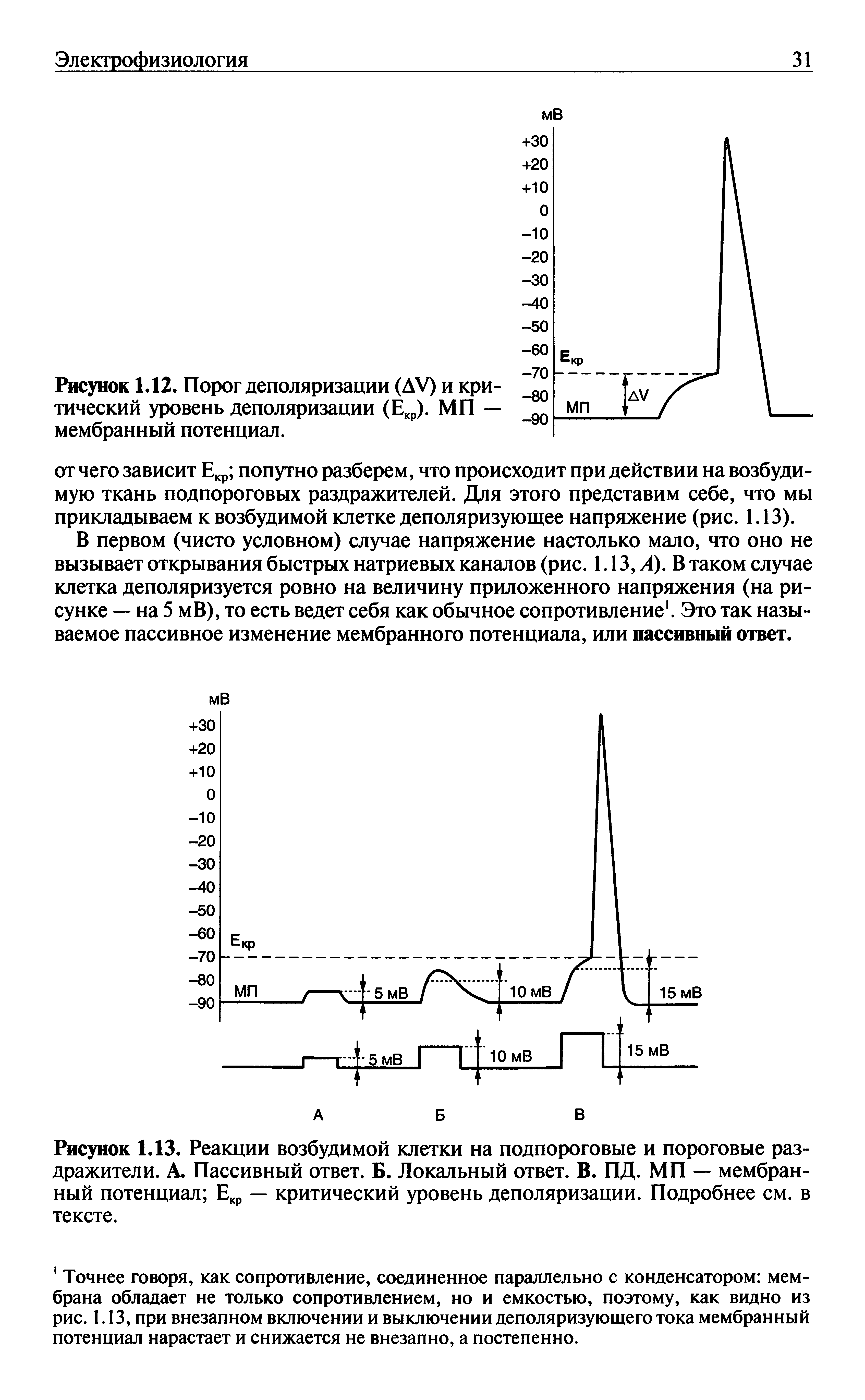 Рисунок 1.13. Реакции возбудимой клетки на подпороговые и пороговые раздражители. А. Пассивный ответ. Б. Локальный ответ. В. ПД. МП — мембранный потенциал Екр — критический уровень деполяризации. Подробнее см. в тексте.