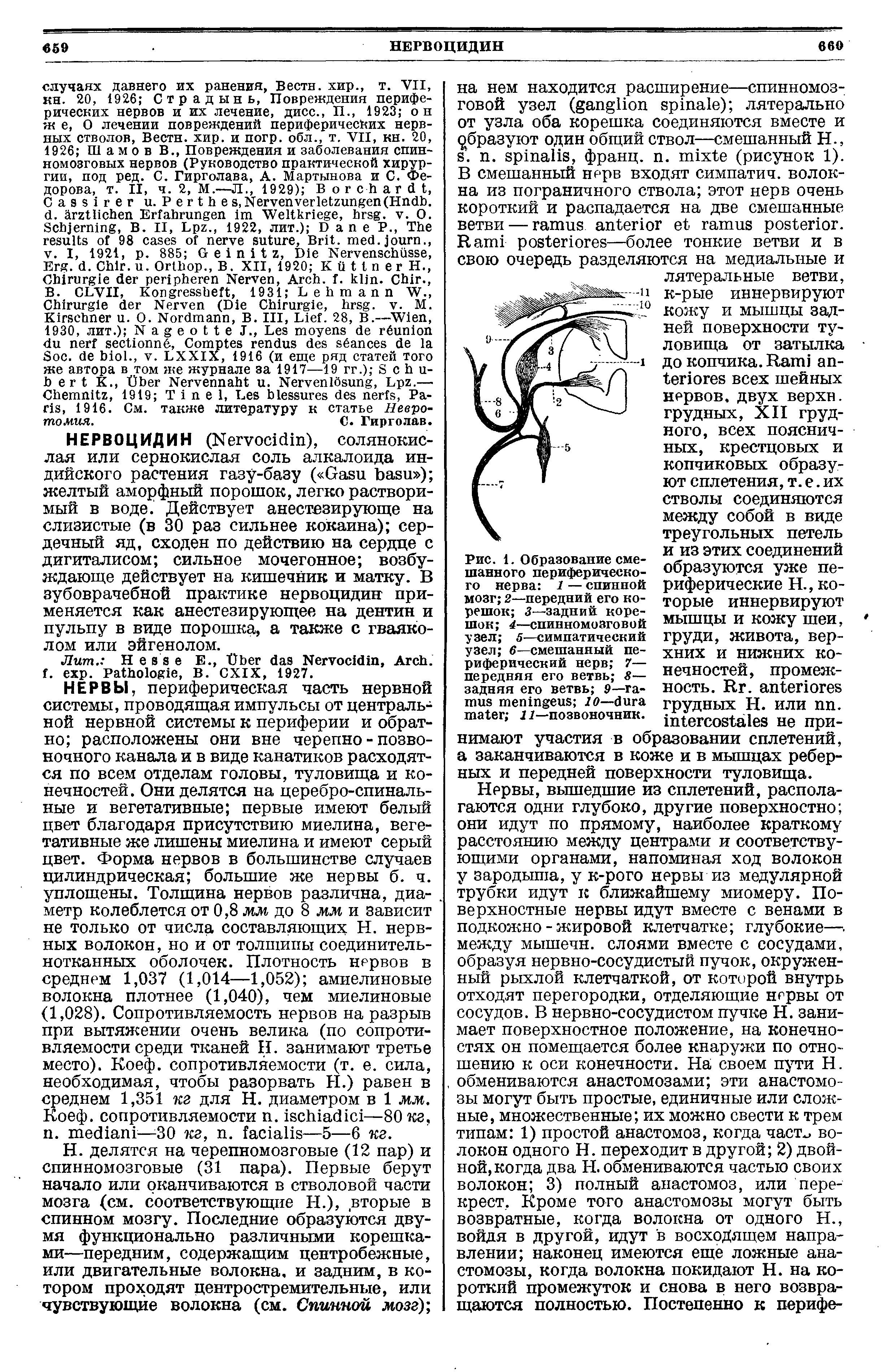 Рис. 1. Образование смешанного периферического нерва 1 — спинной мозг 2—передний его корешок 3—задний корешок 4—спинномозговой узел 5—симпатический узел 6—смешанный периферический нерв 7— передняя его ветвь S— задняя его ветвь 9— 10— 11—позвоночник.