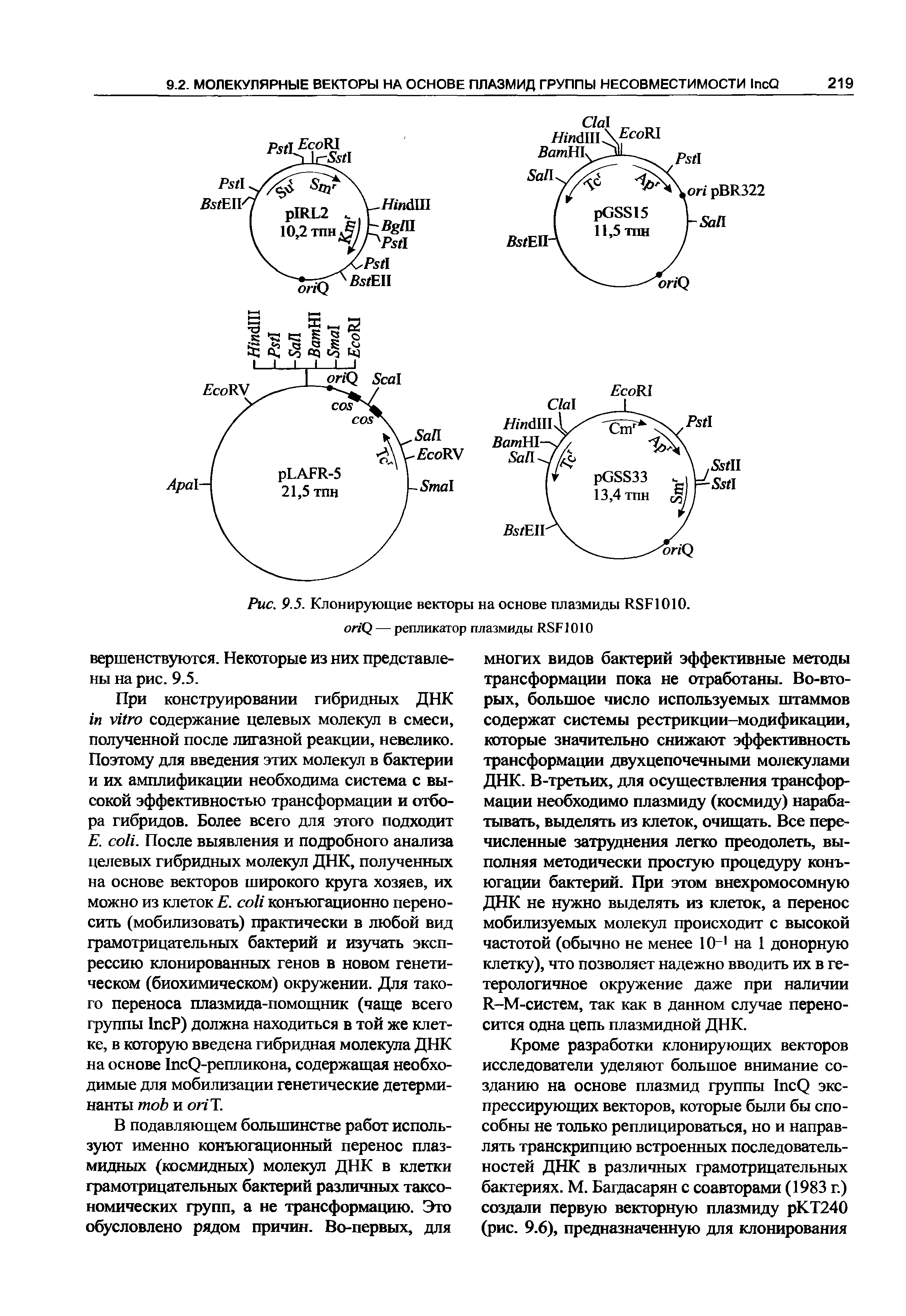 Рис. 9.5. Клонирующие векторы на основе плазмиды RSF1010. /Q — репликатор плазмиды RSF1010...