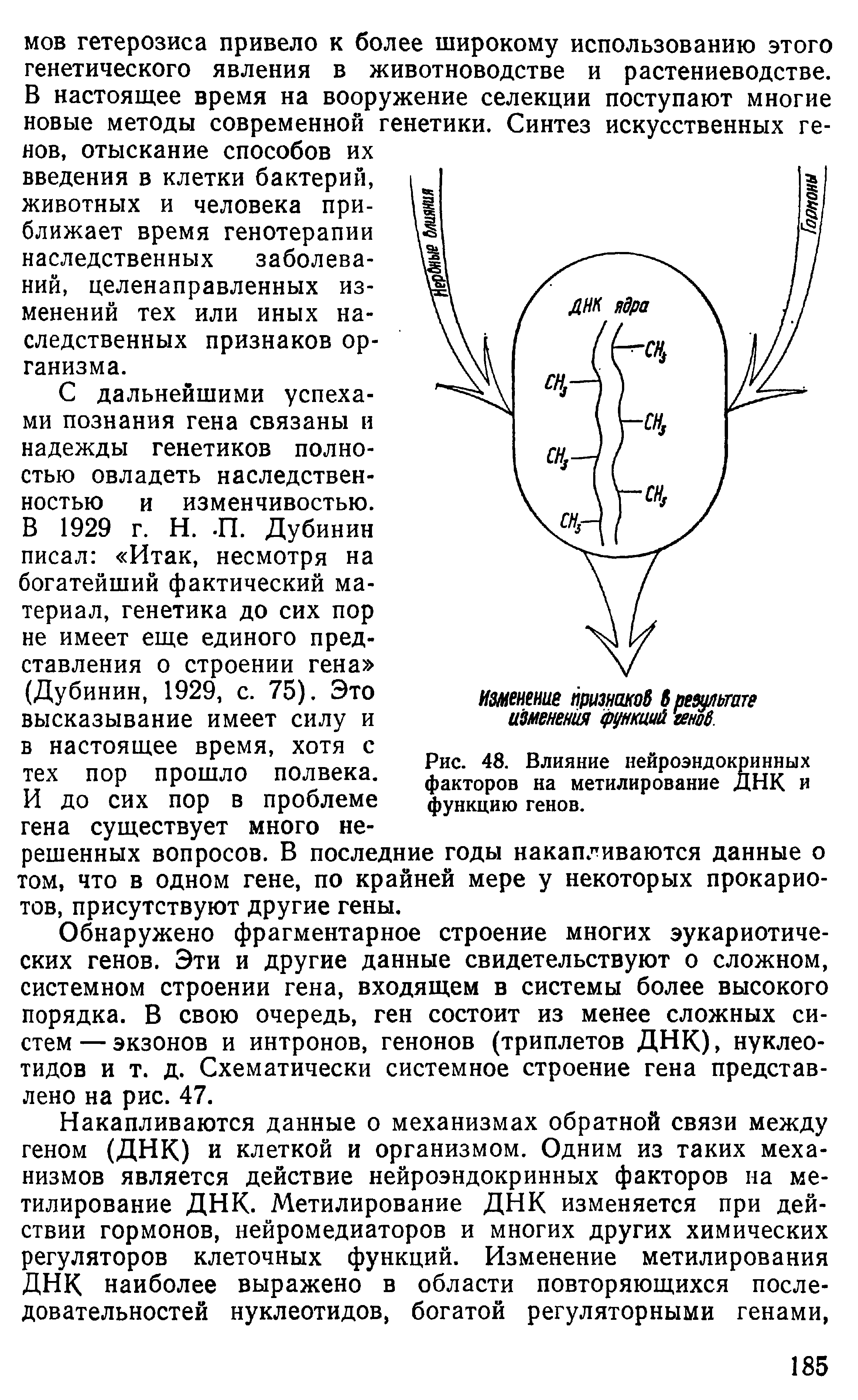 Рис. 48. Влияние нейроэндокринных факторов на метилирование ДНК и функцию генов.