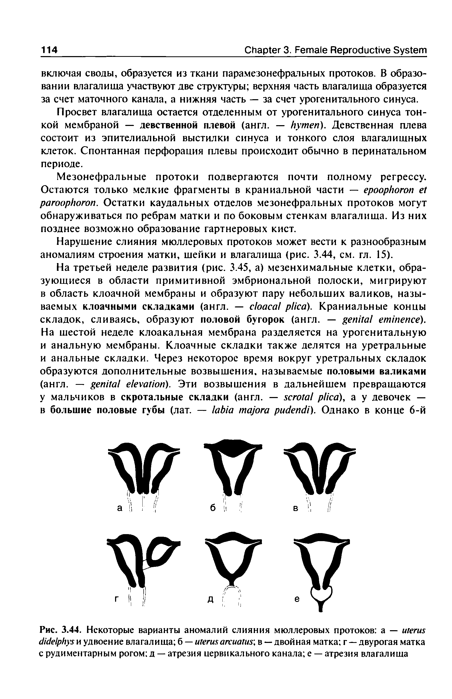 Рис. 3.44. Некоторые варианты аномалий слияния мюллеровых протоков а — и удвоение влагал ища б — в — двойная матка г — двурогая матка с рудиментарным рогом д — атрезия цервикального канала е — атрезия влагалища...