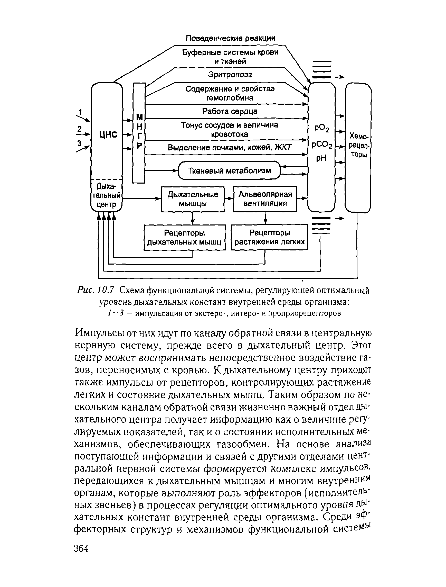 Рис. 10.7 Схема функциональной системы, регулирующей оптимальный уровень дыхательных констант внутренней среды организма ...