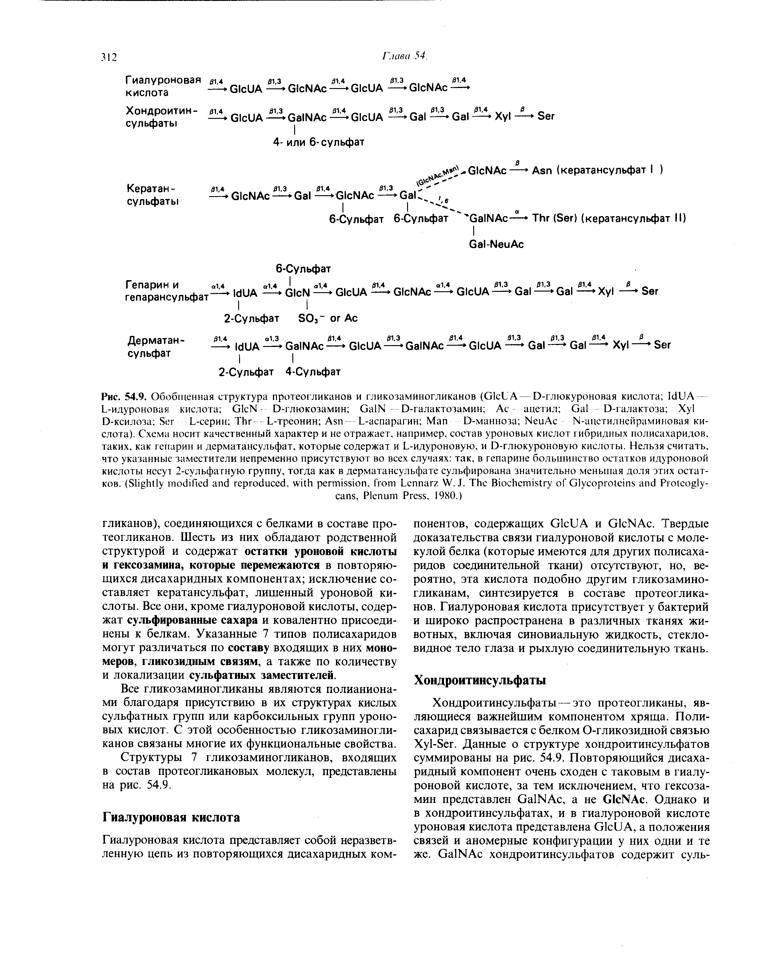 Рис. 54.9. Обобщенная структура протеогликанов и гликозаминогликанов (G UA — D-глюкуроновая кислота I UA -L-идуроновая кислота G N- D-глюкозамин G N -D-галактозамин Ас ацетил G D-галактоза X D-ксилоза S L-серин T .L-треонин A --L-аспарагин M D-манноза N A N-ацетилнейраминовая ки-...